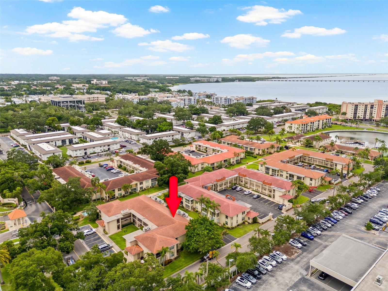 19029 US HIGHWAY 19 N #4-5