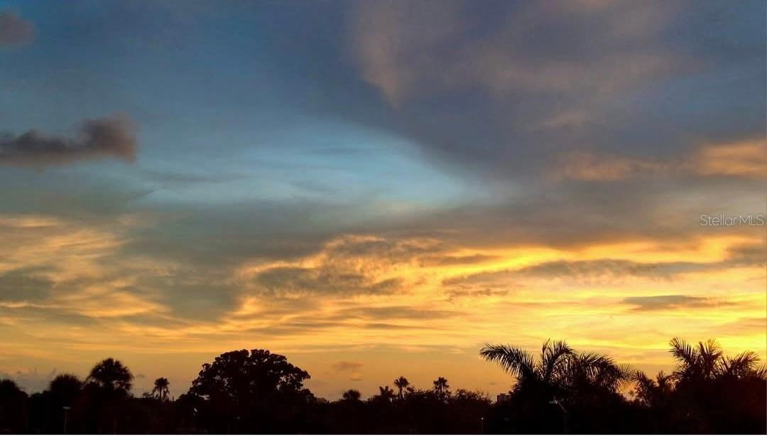 7321 CENTRAL AVE #310