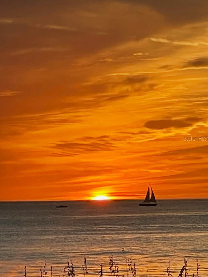 10315 GULF BLVD #310