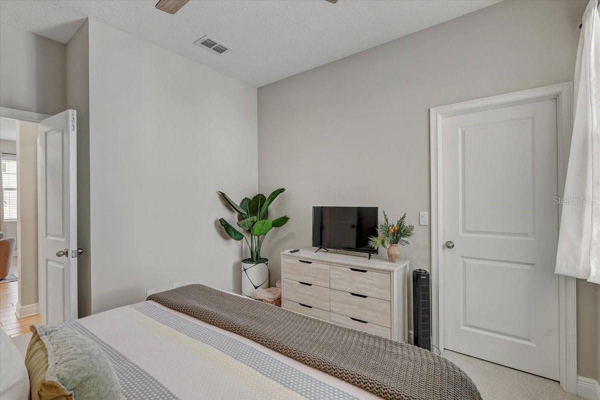Furnished bedroom with a television on a light wood dresser and potted plants.