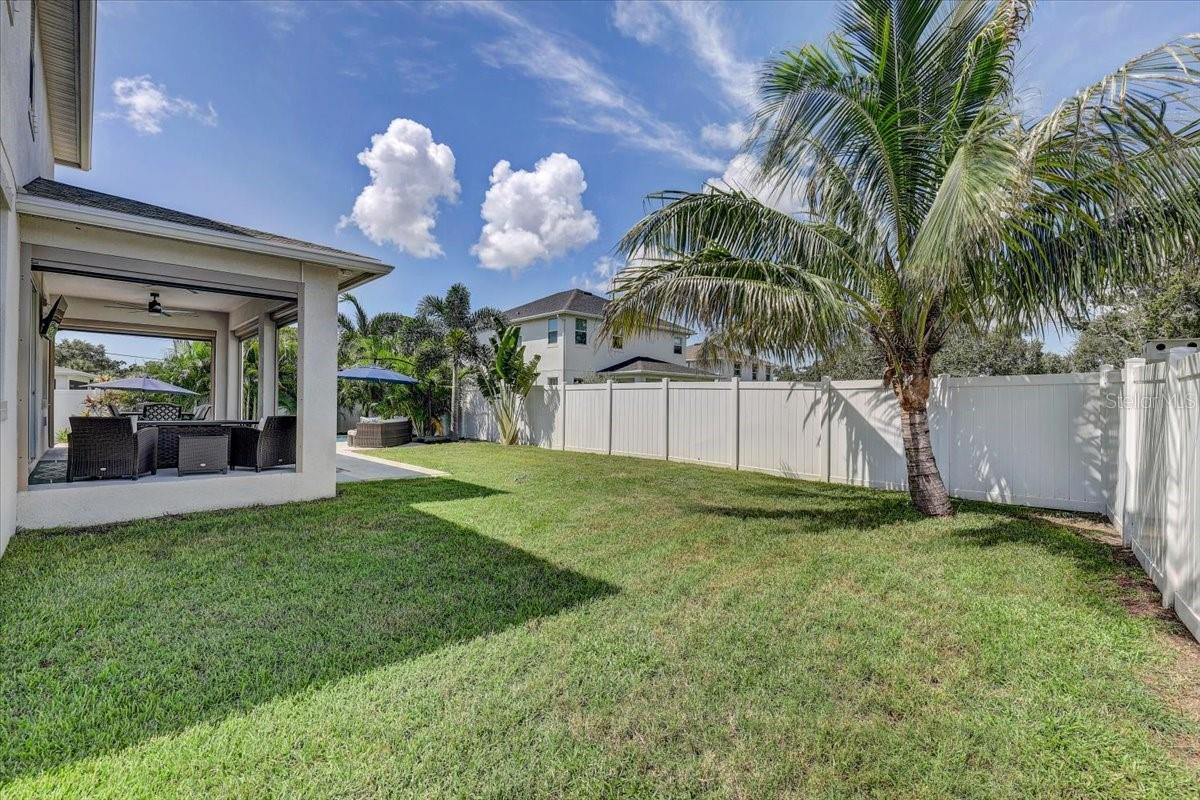 Fenced backyard with a green lawn, large palm tree, and covered patio with outdoor seating.