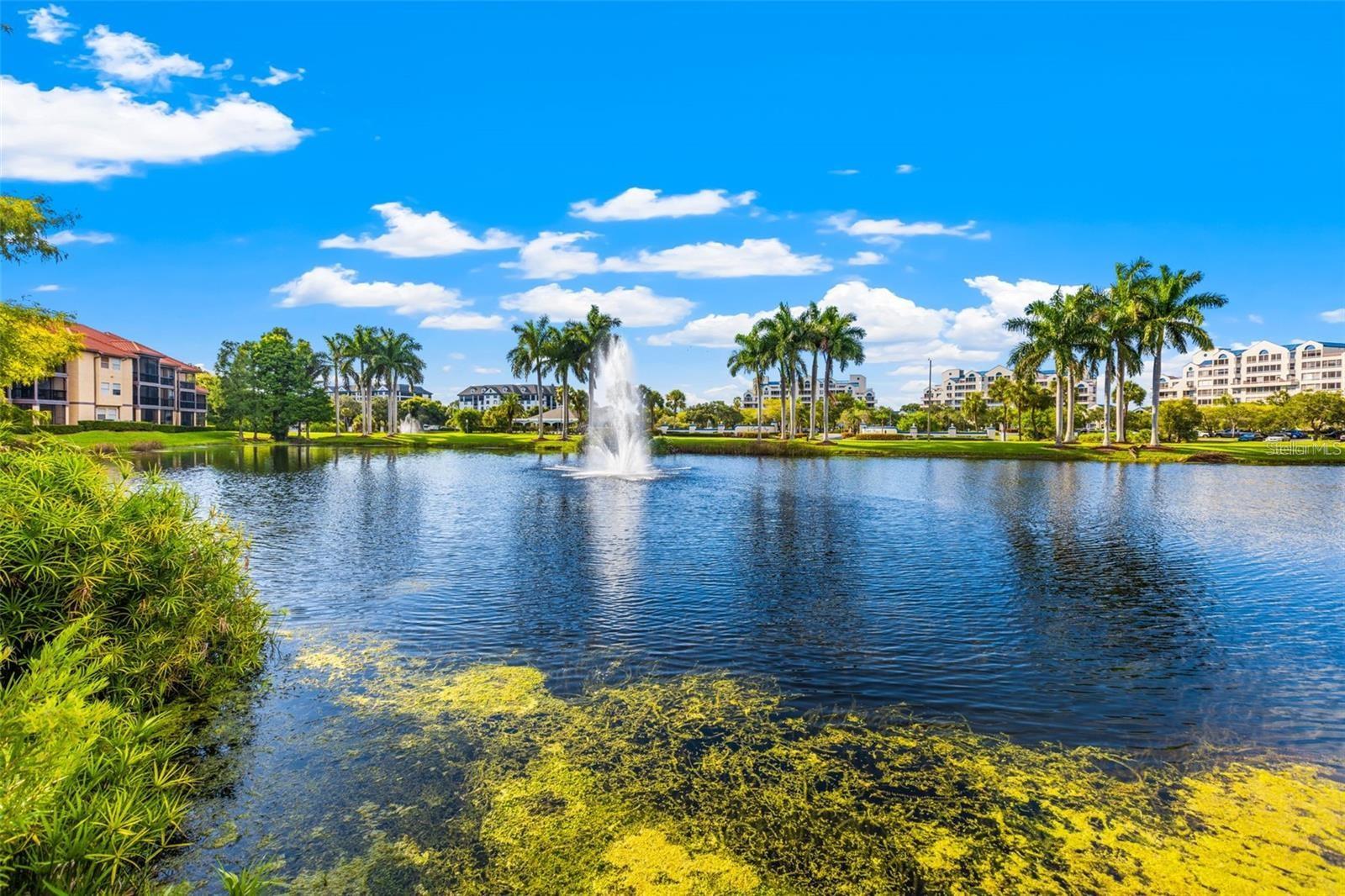 2400 FEATHER SOUND DR #615