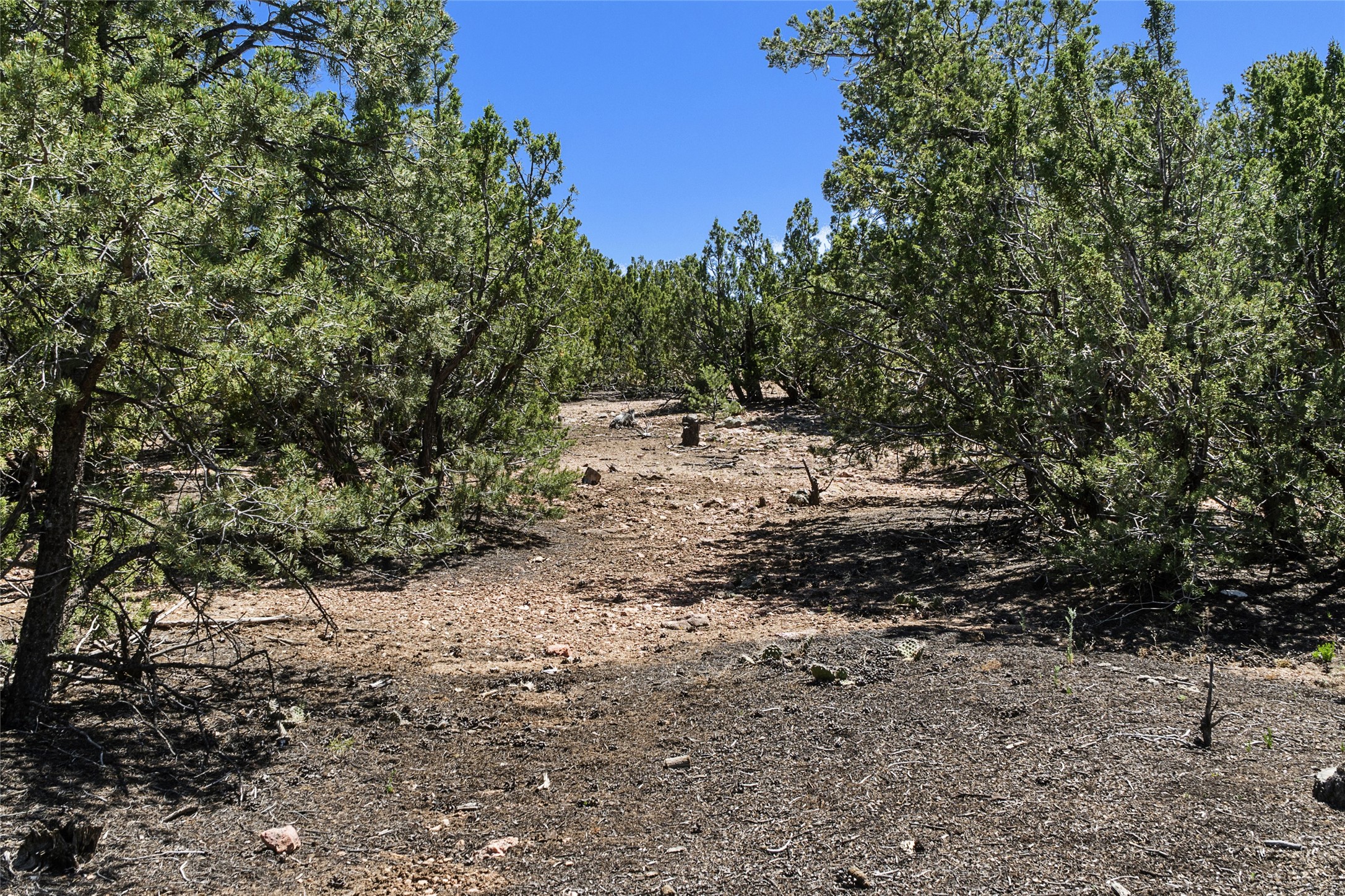 7434 Old Santa Fe Trail