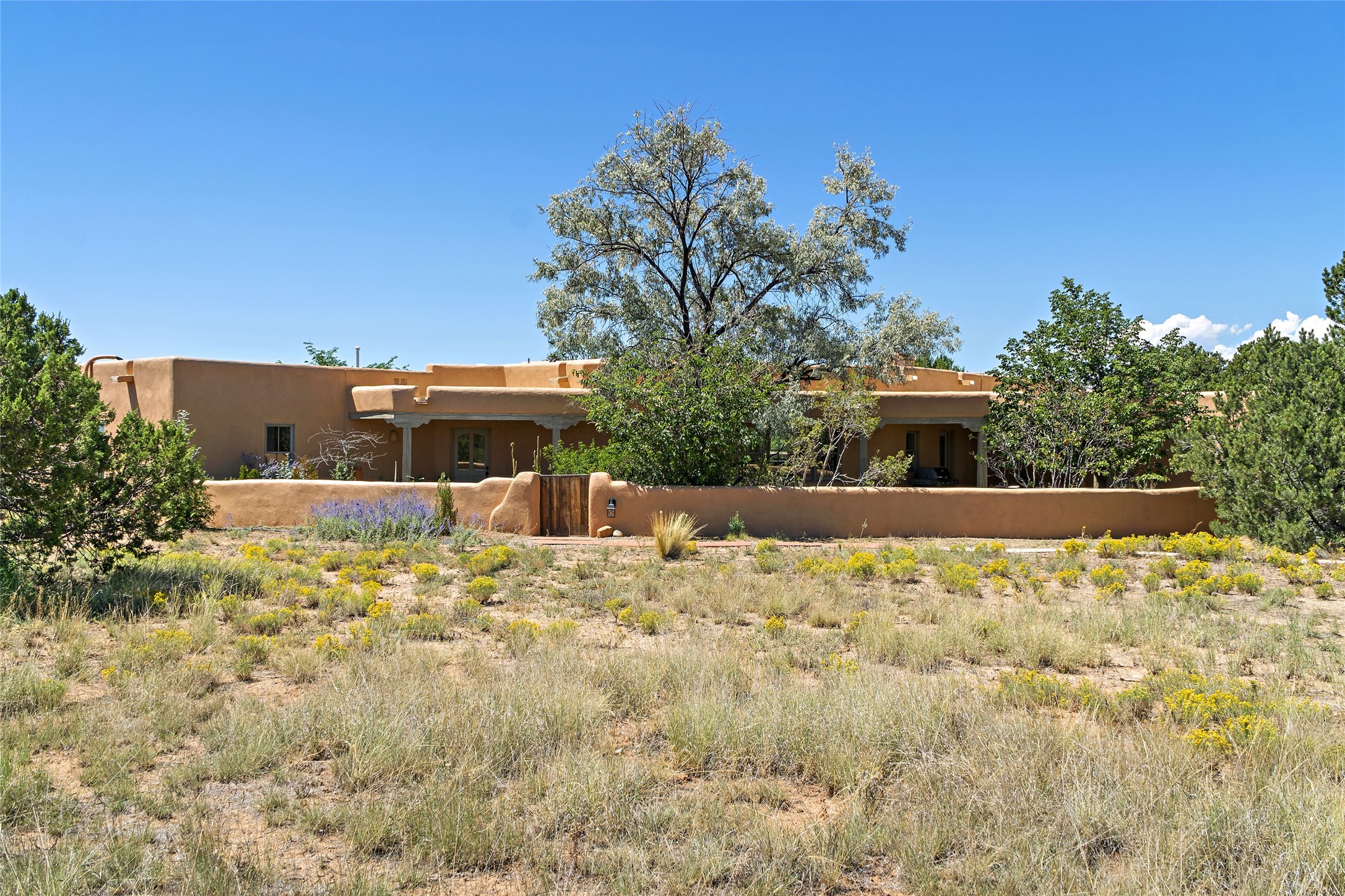 6 Sierra Lavanda