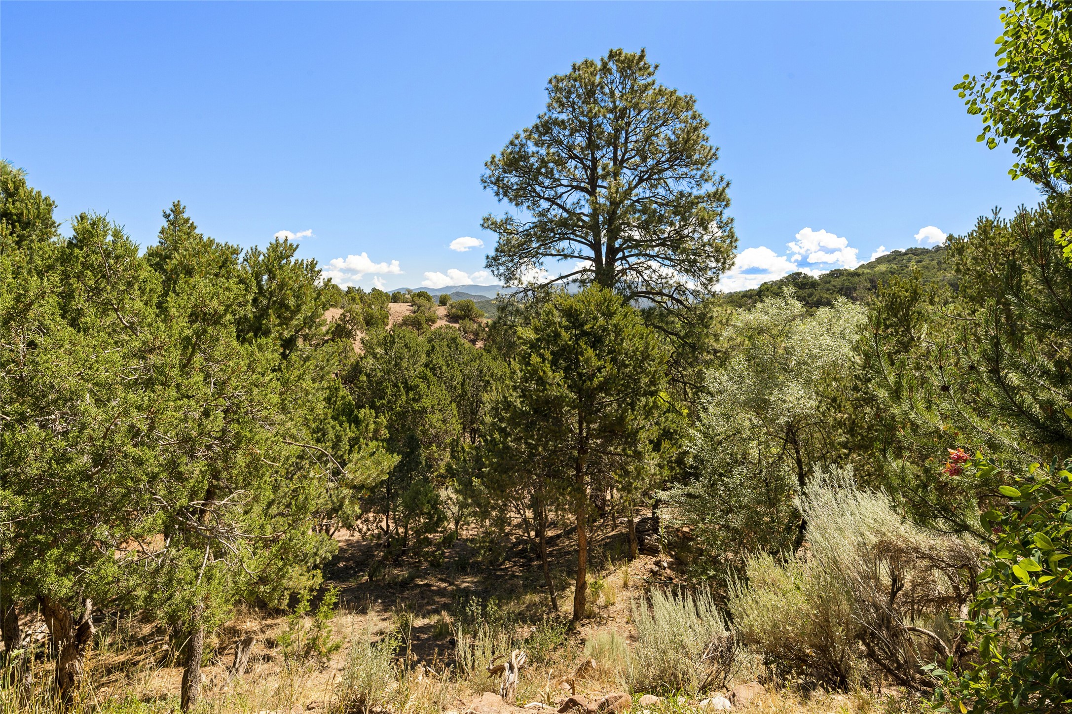 1236 Bishops Lodge Road