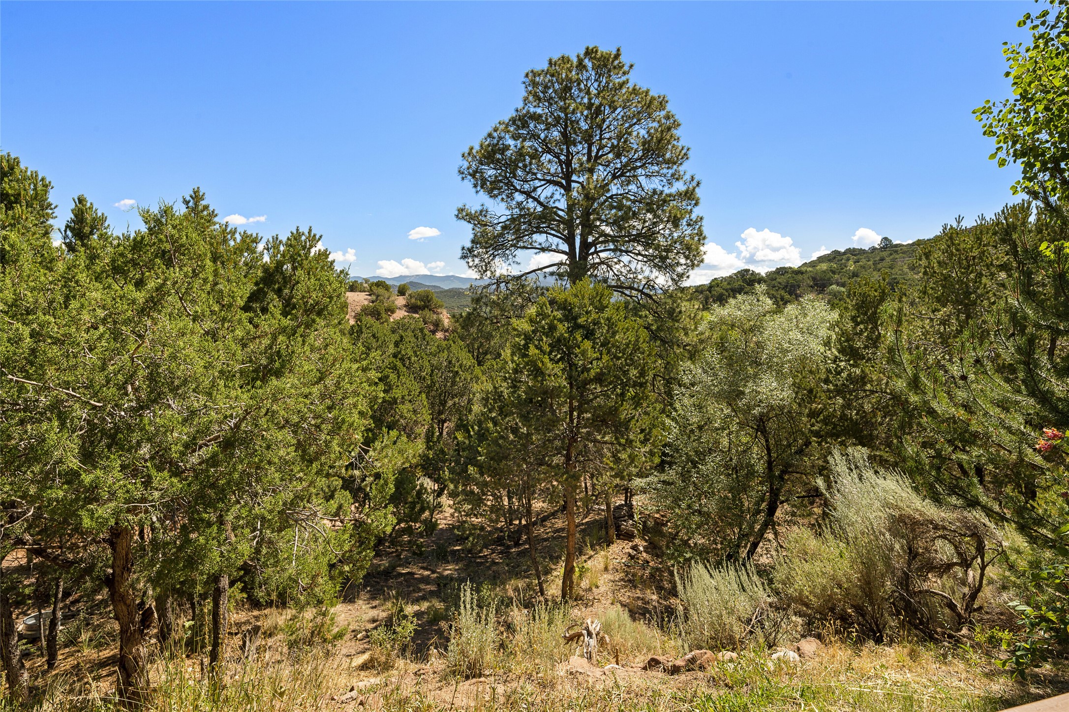 1236 Bishops Lodge Road