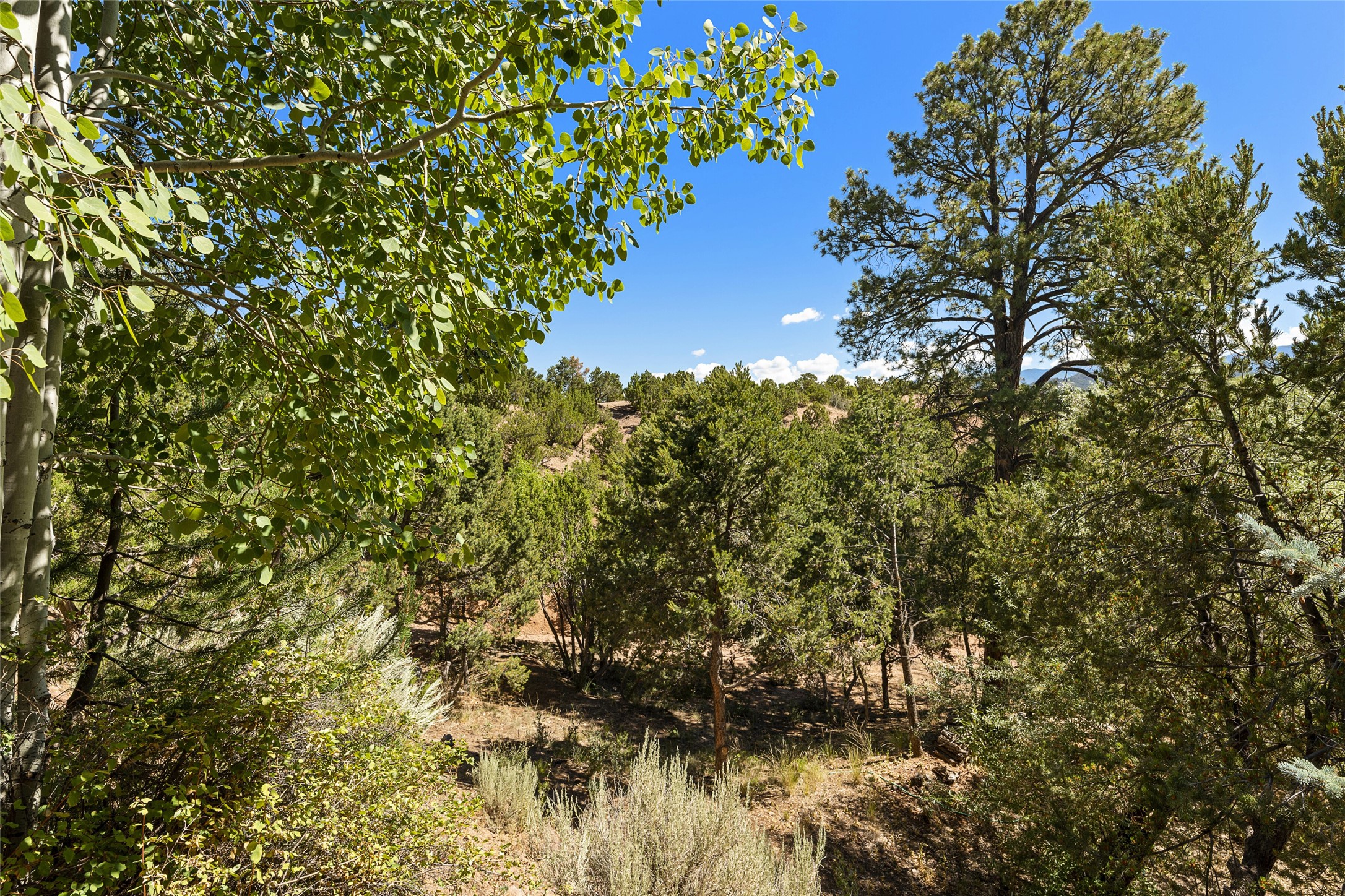1236 Bishops Lodge Road