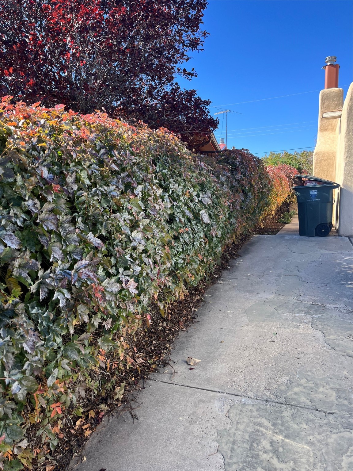 1108 CALLE DEL CIELO