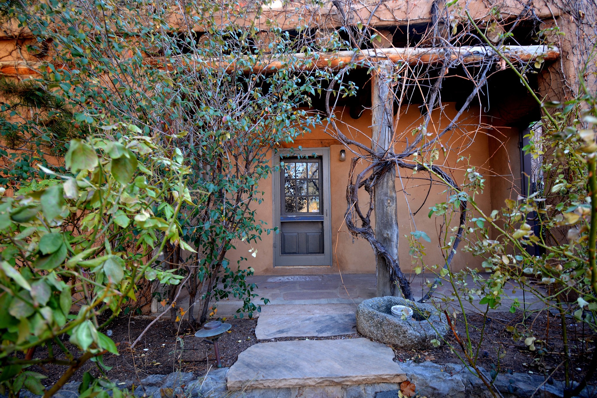 509 Johnson Lane