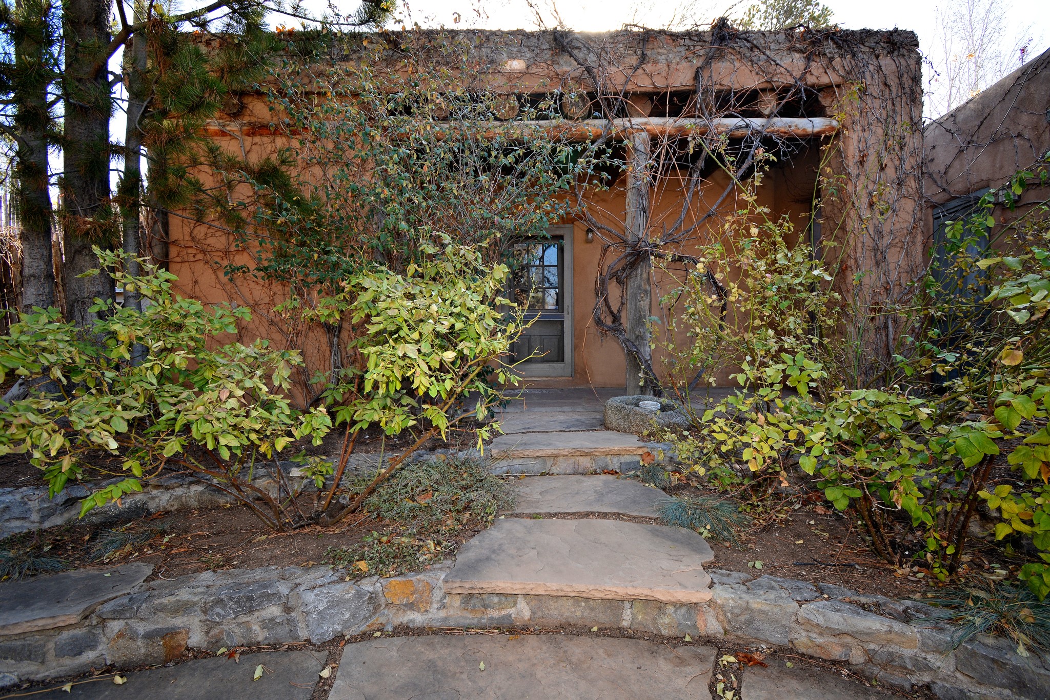 509 Johnson Lane