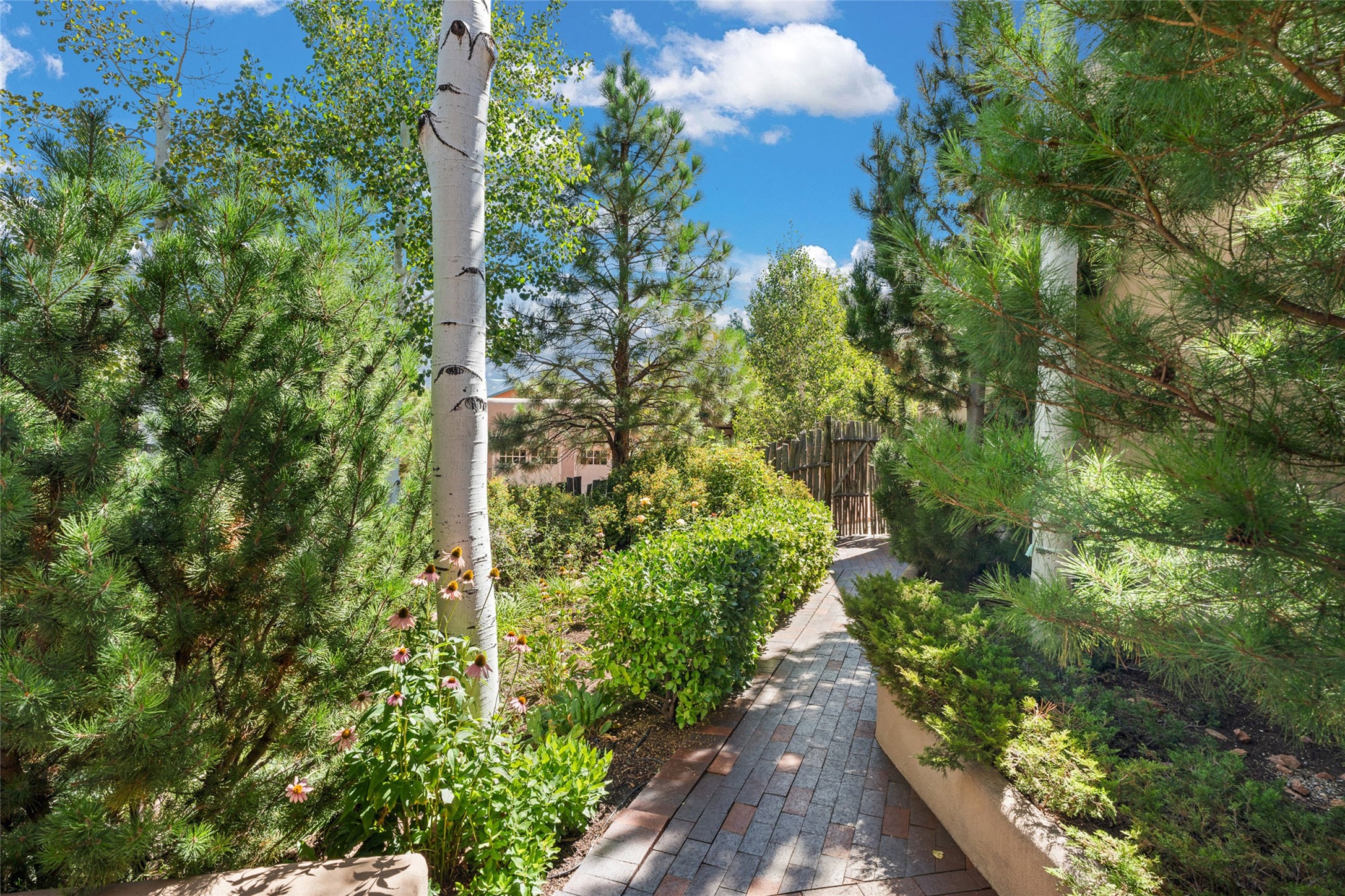 1114 Camino San Acacio