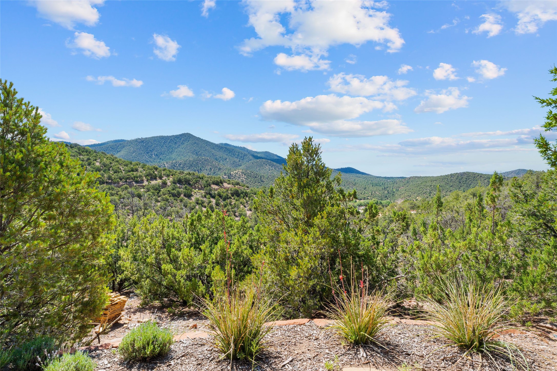 1567 Cerro Gordo Road