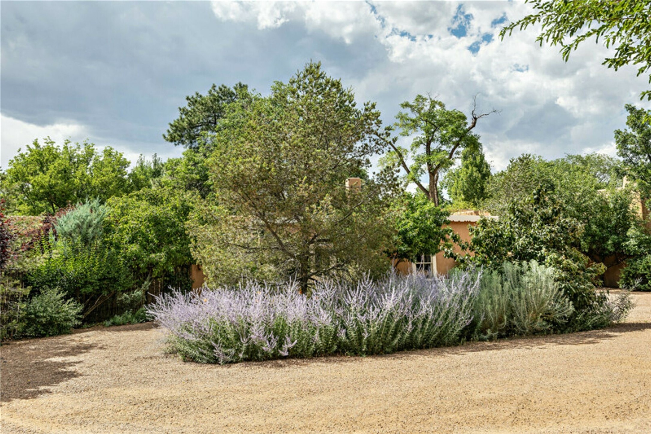 608 Canyon A & B