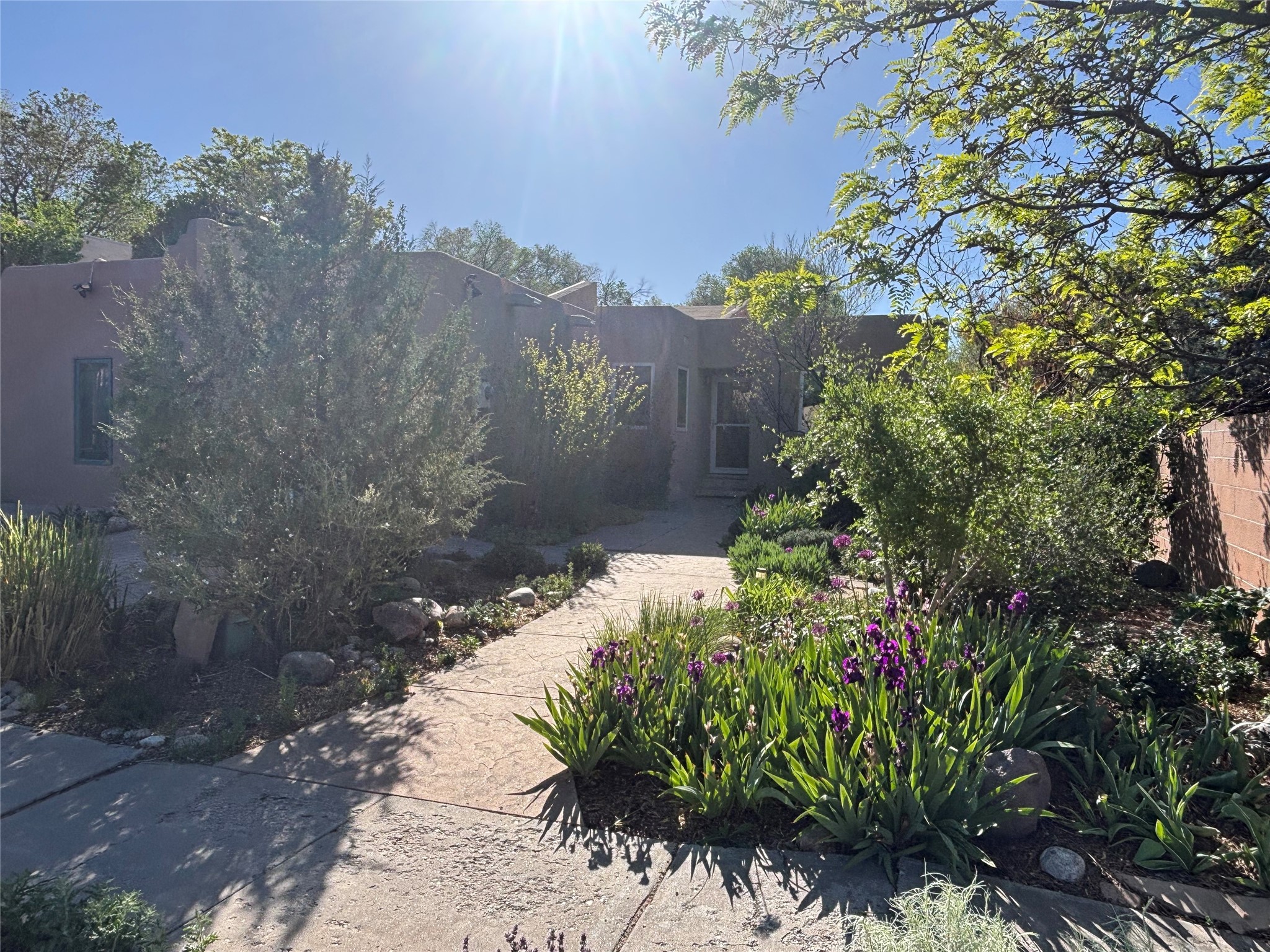 1553 Camino La Canada