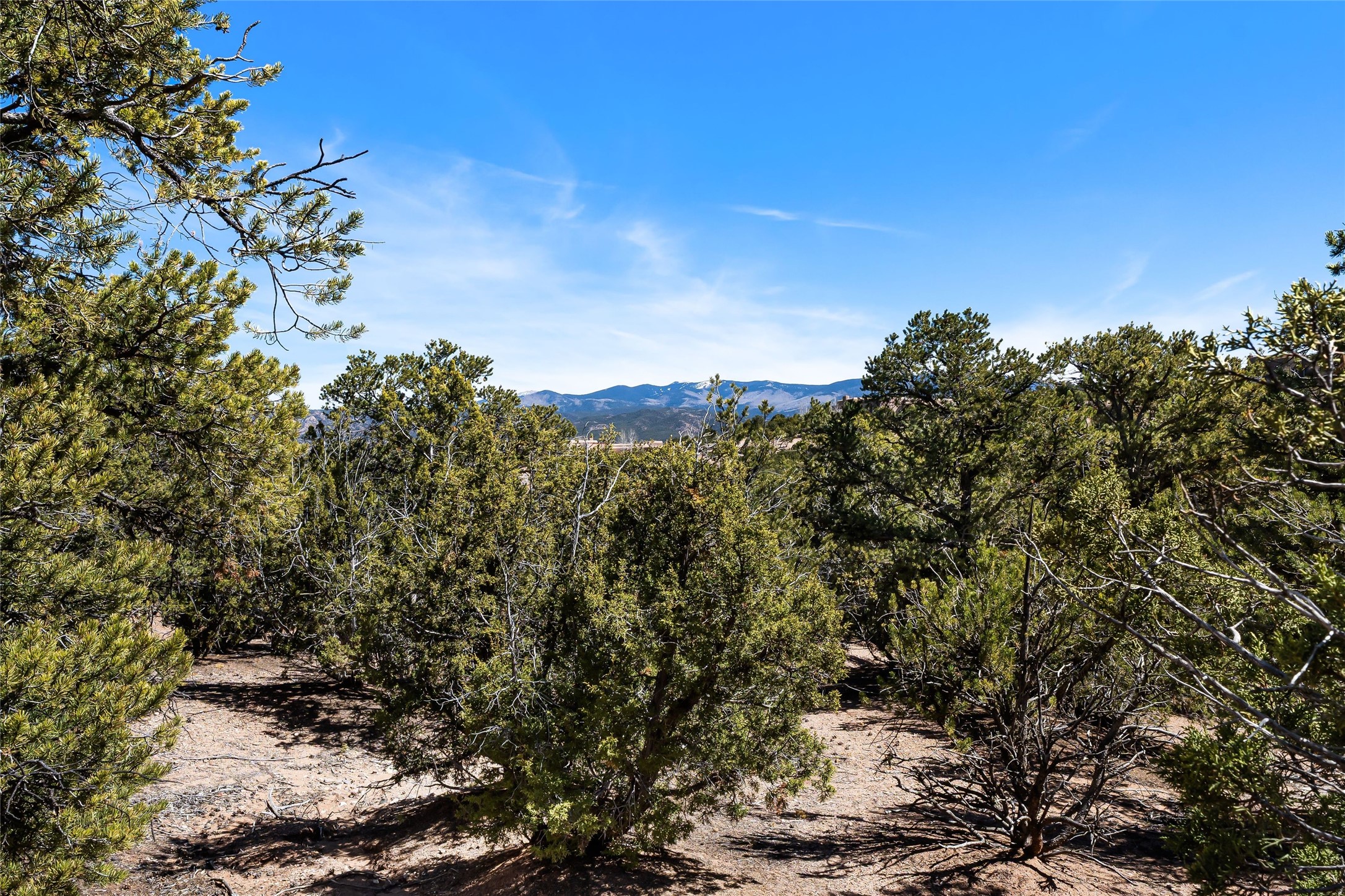 2971 Broken Sherd Trail