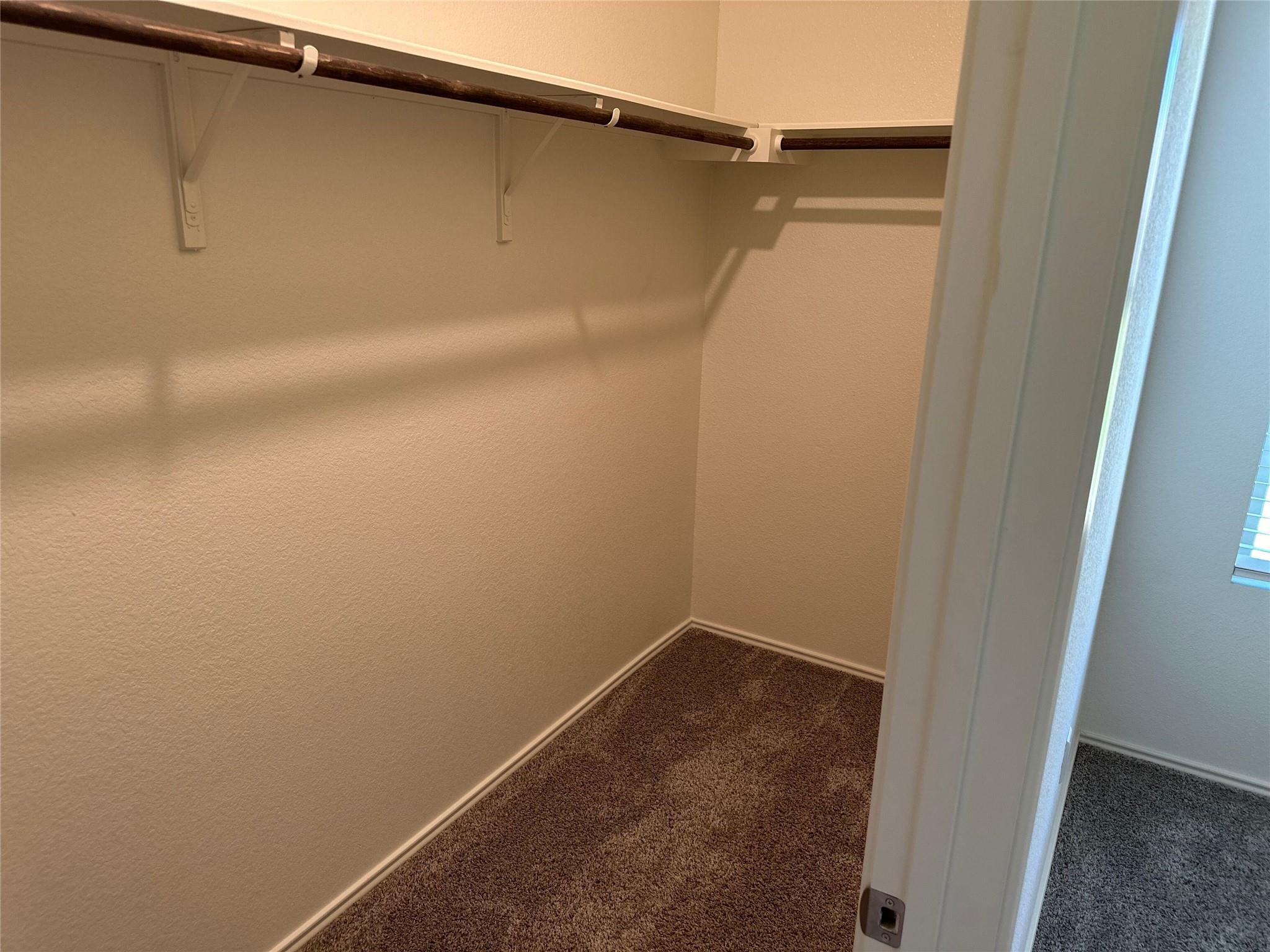 Empty walk-in closet with a dark wooden hanging rod, brown carpet, and a doorway to a bright room.