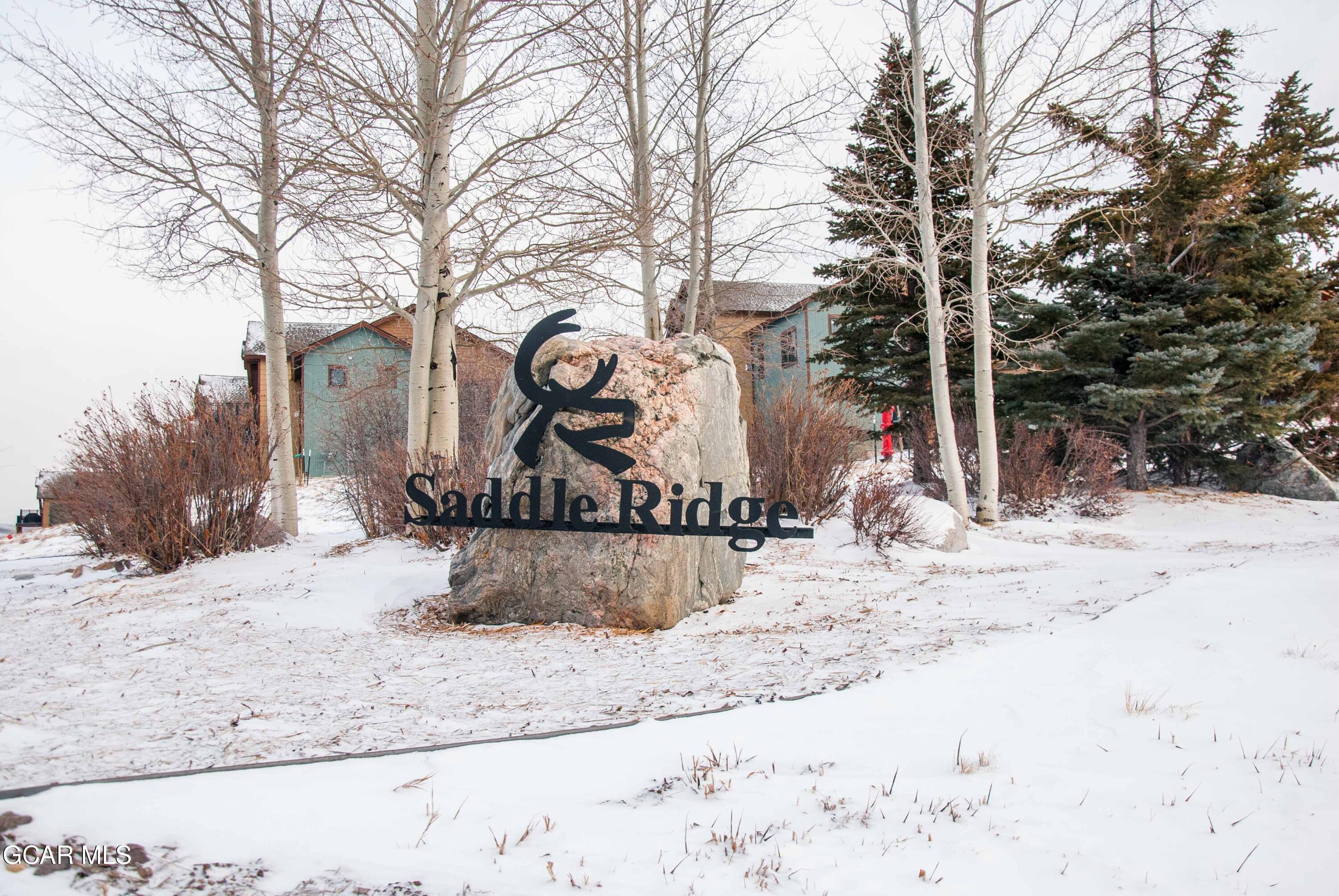 726 Saddle Ridge Circle Unit: 80446