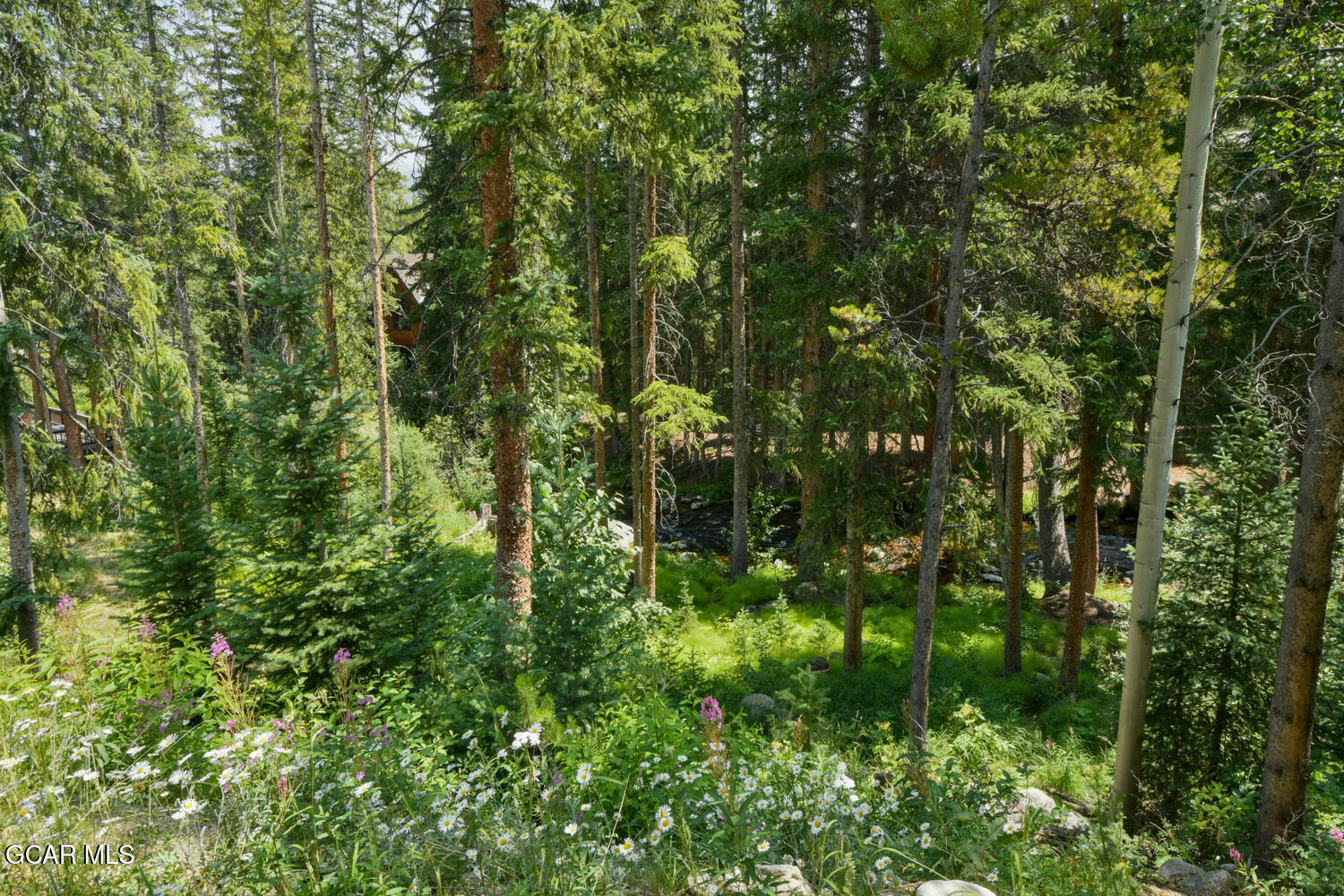 688 Vasquez Road