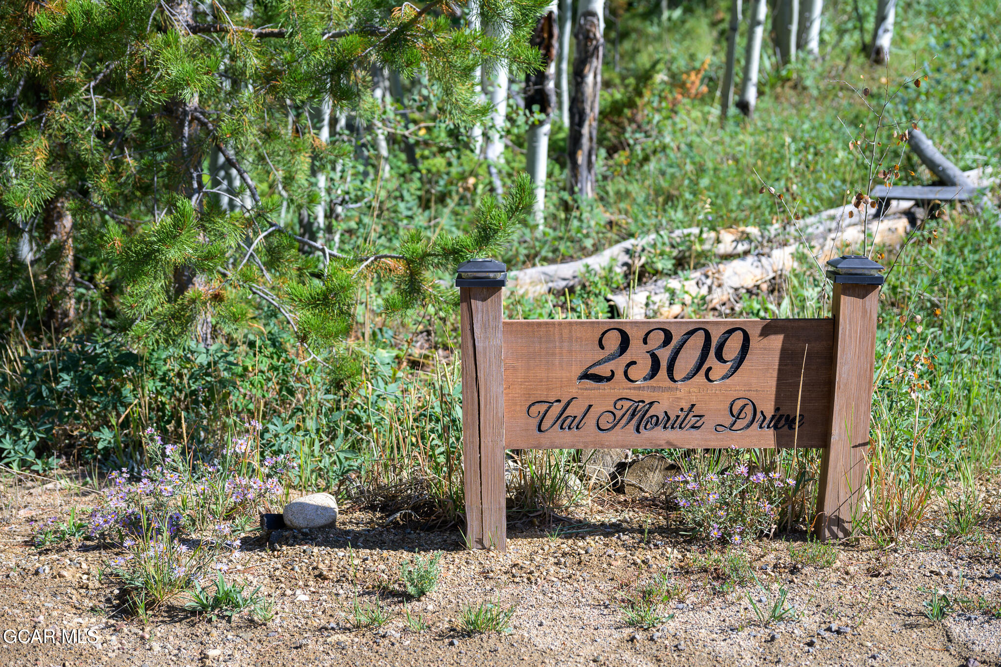 2309 GCR 88 Drive