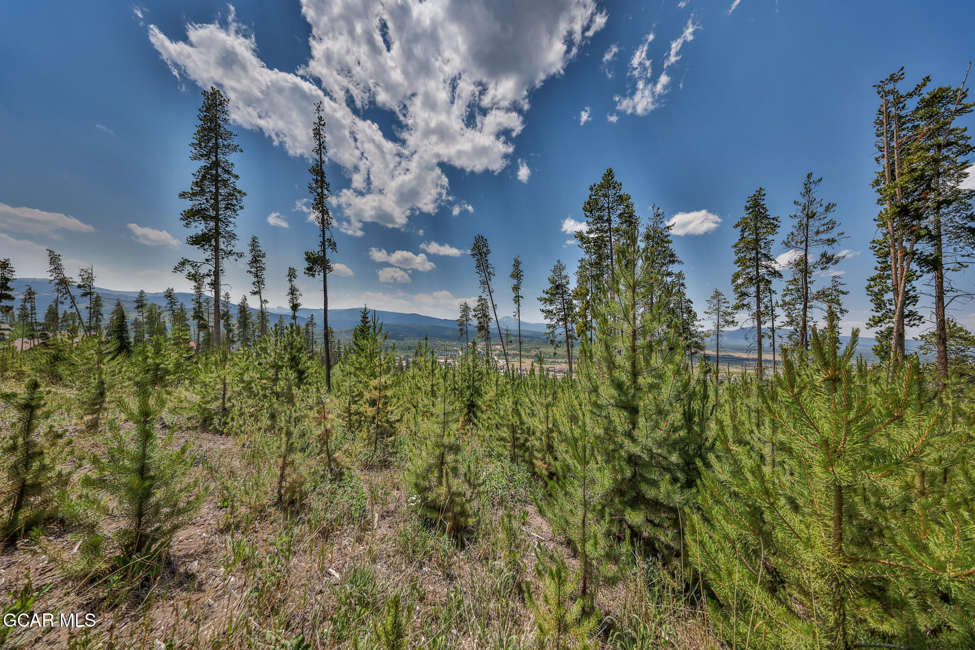 1055 Pioneer Trail