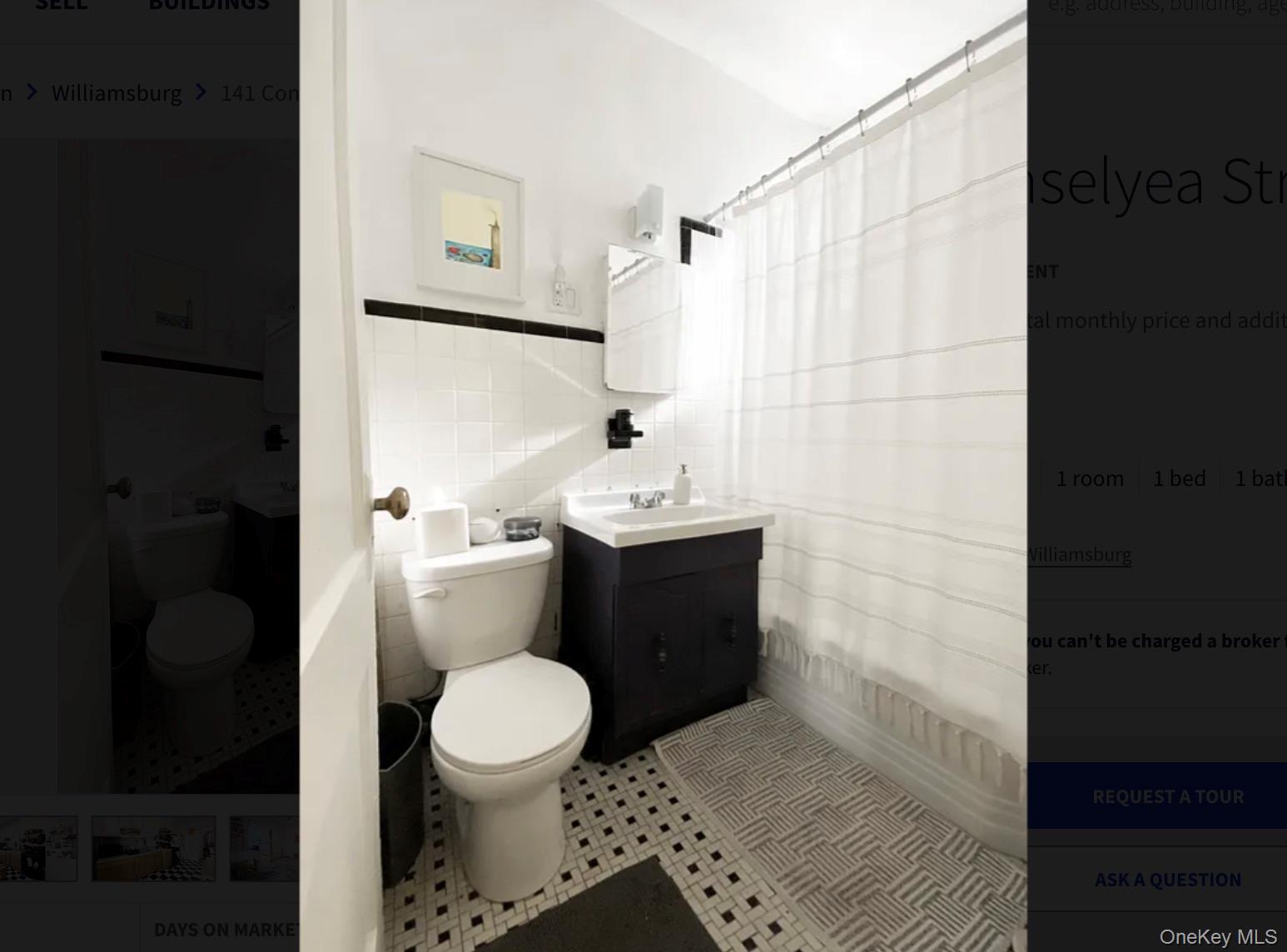 141 Conselyea Street