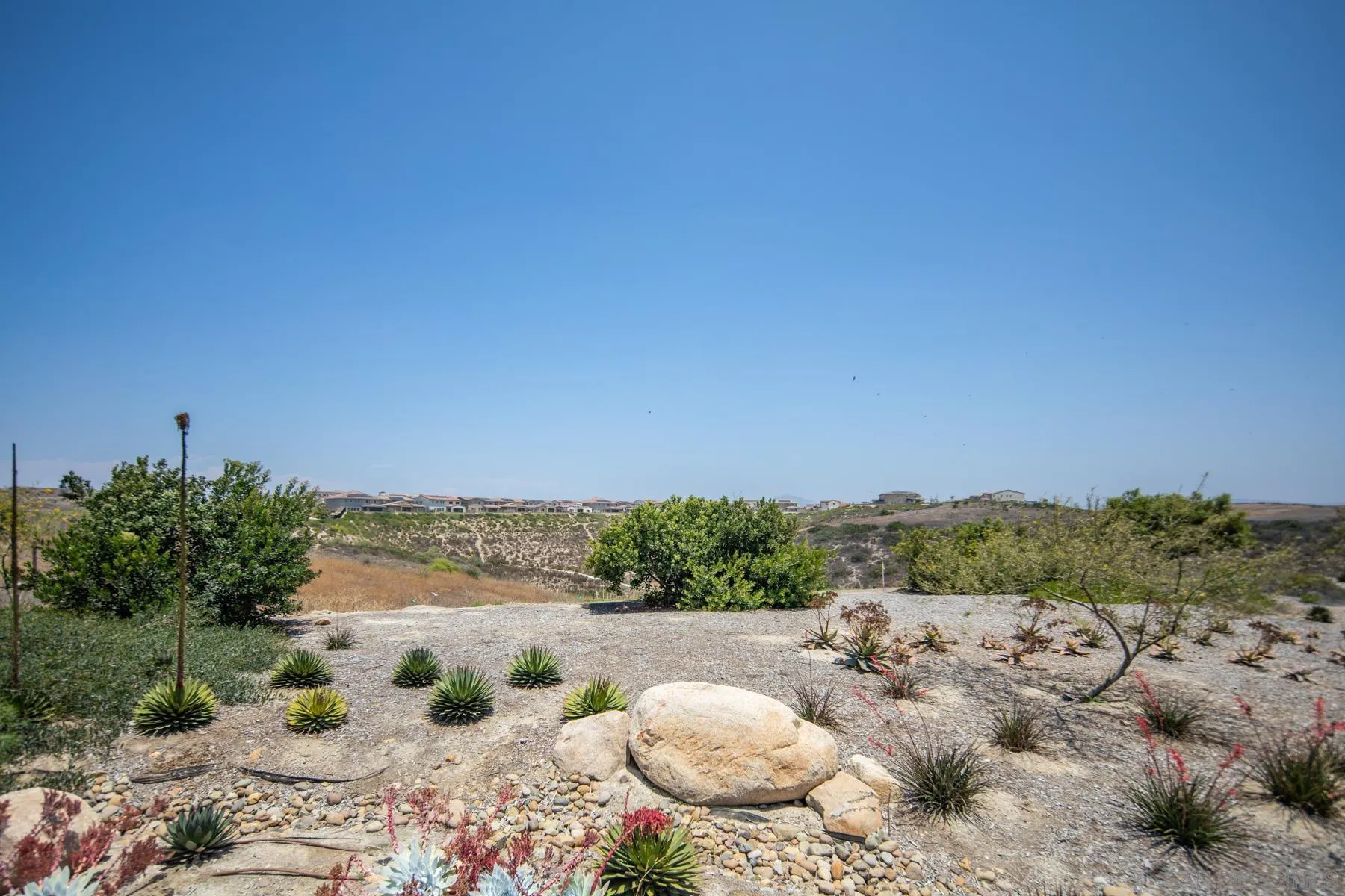 1257 Calle Datura Unit 157
