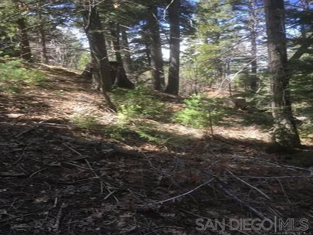 0 State Hwy 173 State Highway Unit 205