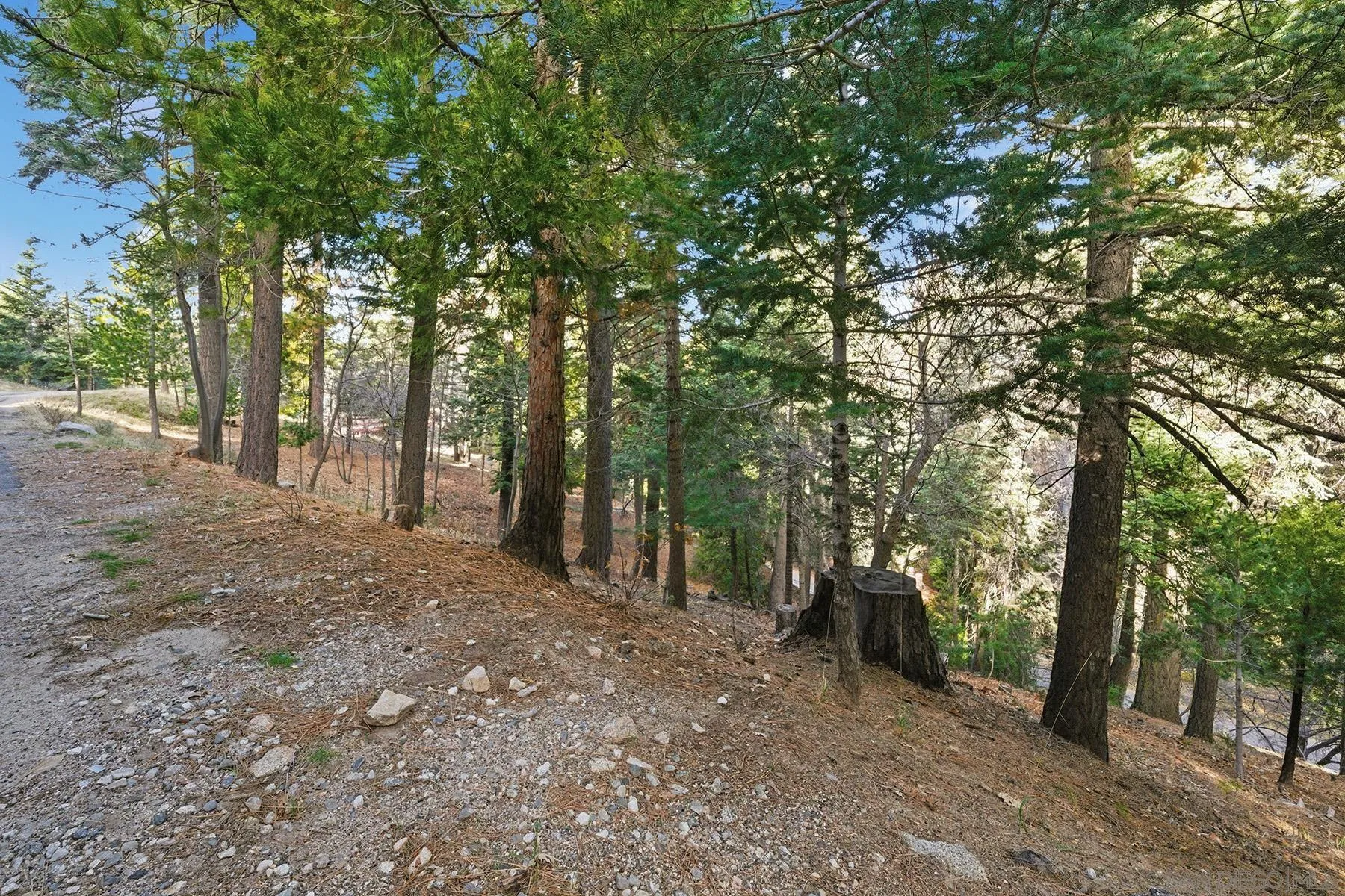 0 State Hwy 173 State Highway Unit 205