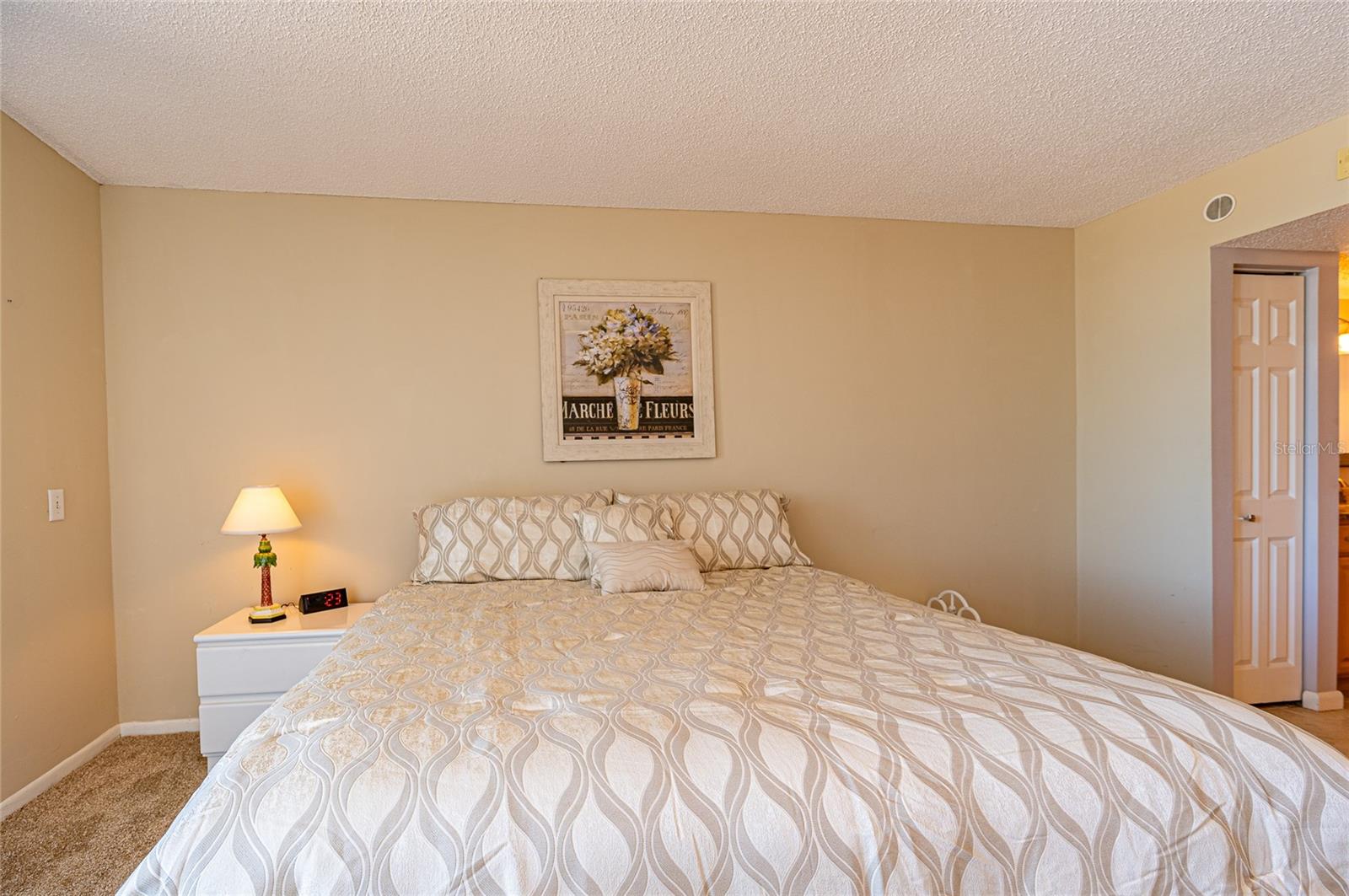 6365 BAHIA DEL MAR BLVD #505