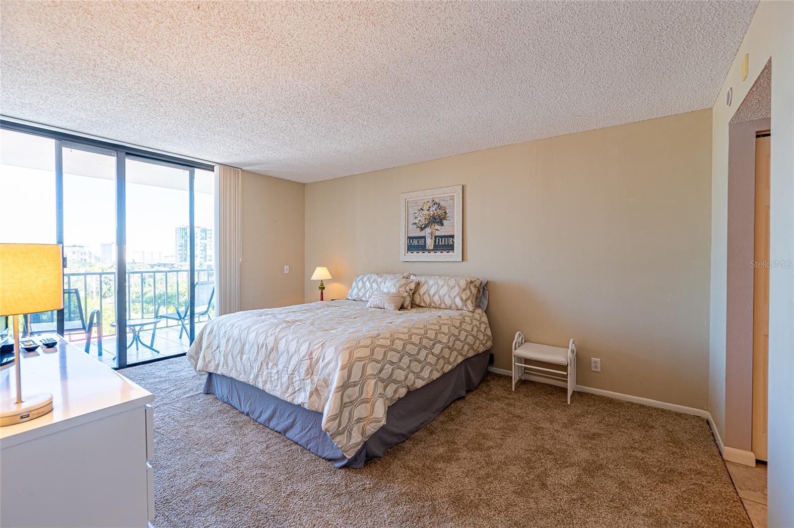 6365 BAHIA DEL MAR BLVD #505