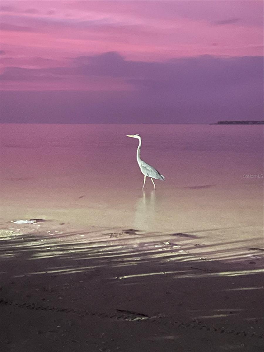 500 SANIBEL CT