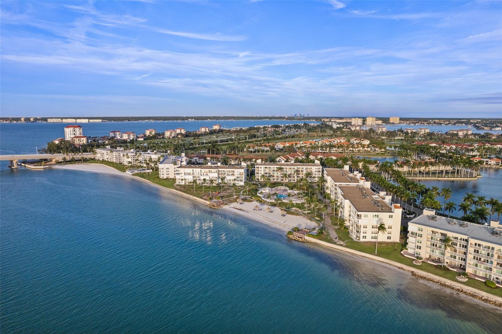 6061 BAHIA DEL MAR CIRCLE Unit: 446