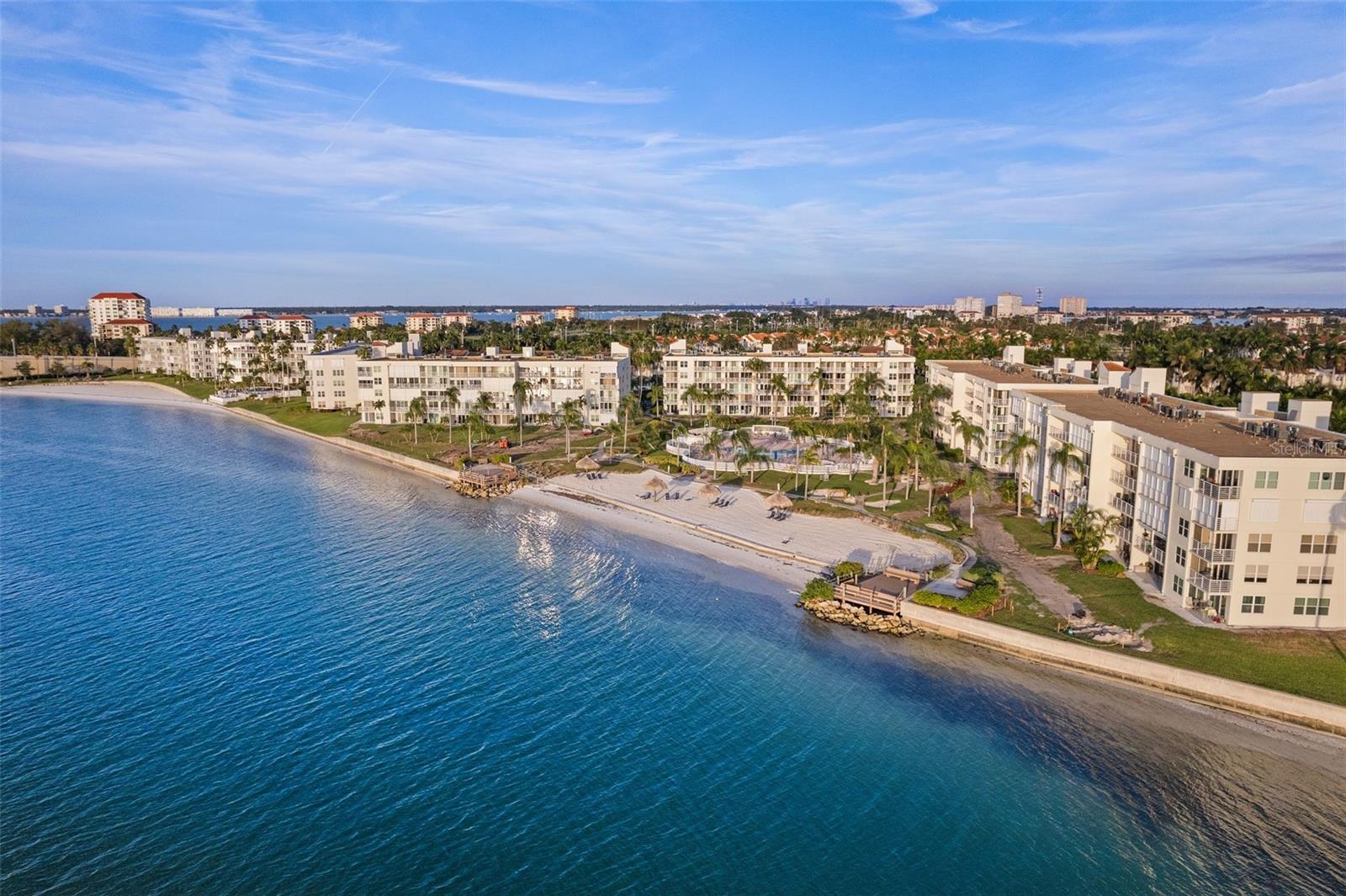 6061 BAHIA DEL MAR CIRCLE Unit: 446