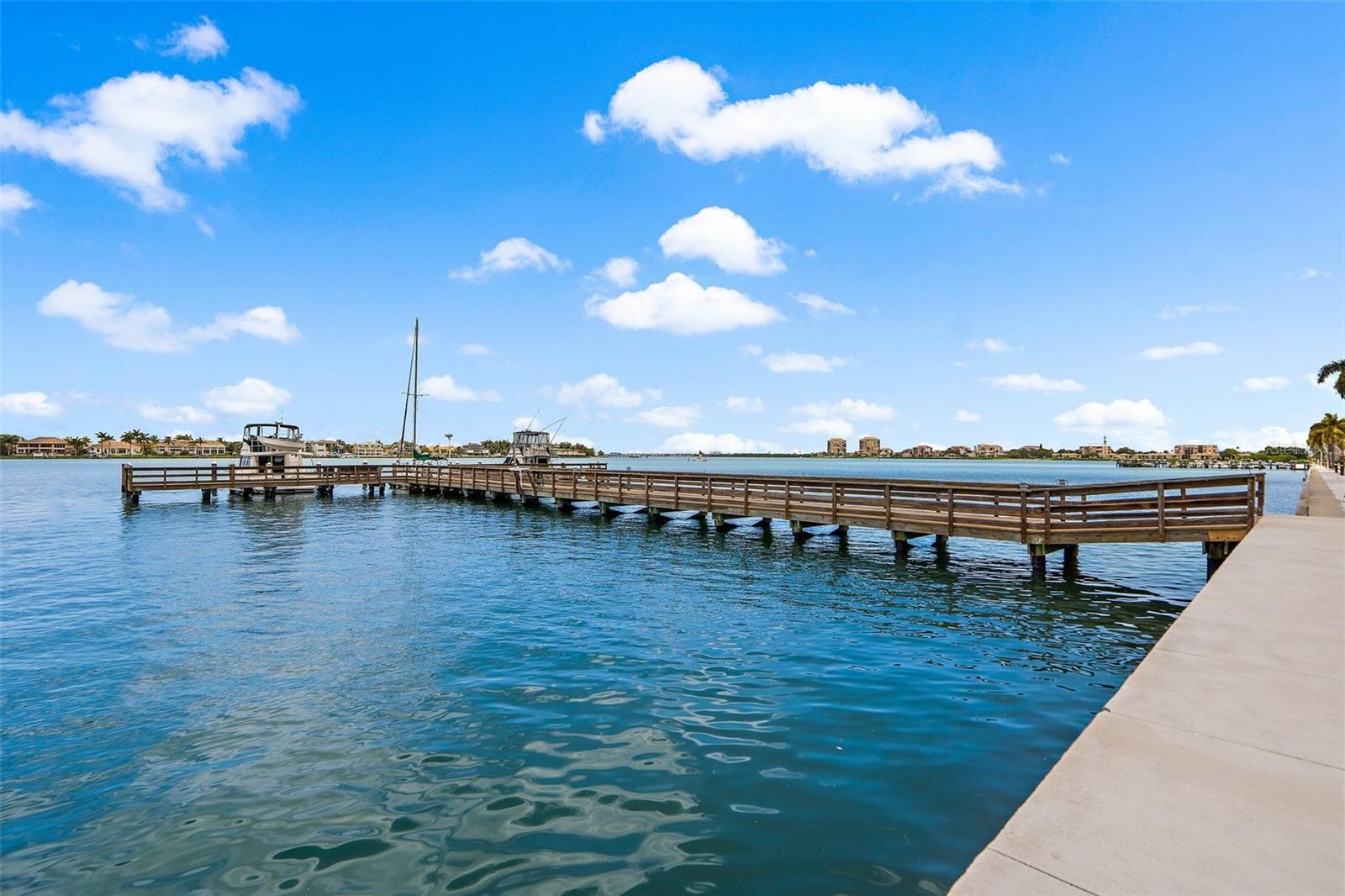 5108 BRITTANY DRIVE S Unit: 208
