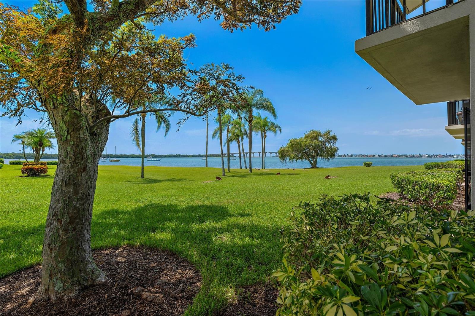 6291 BAHIA DEL MAR CIR #101