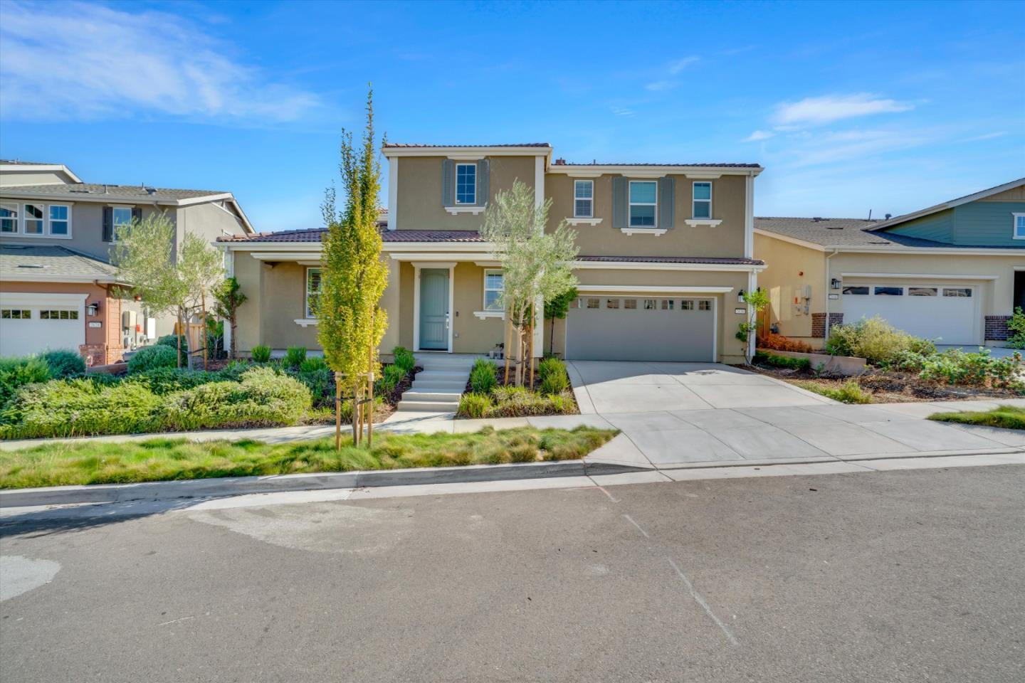 2638 Catspaw CT