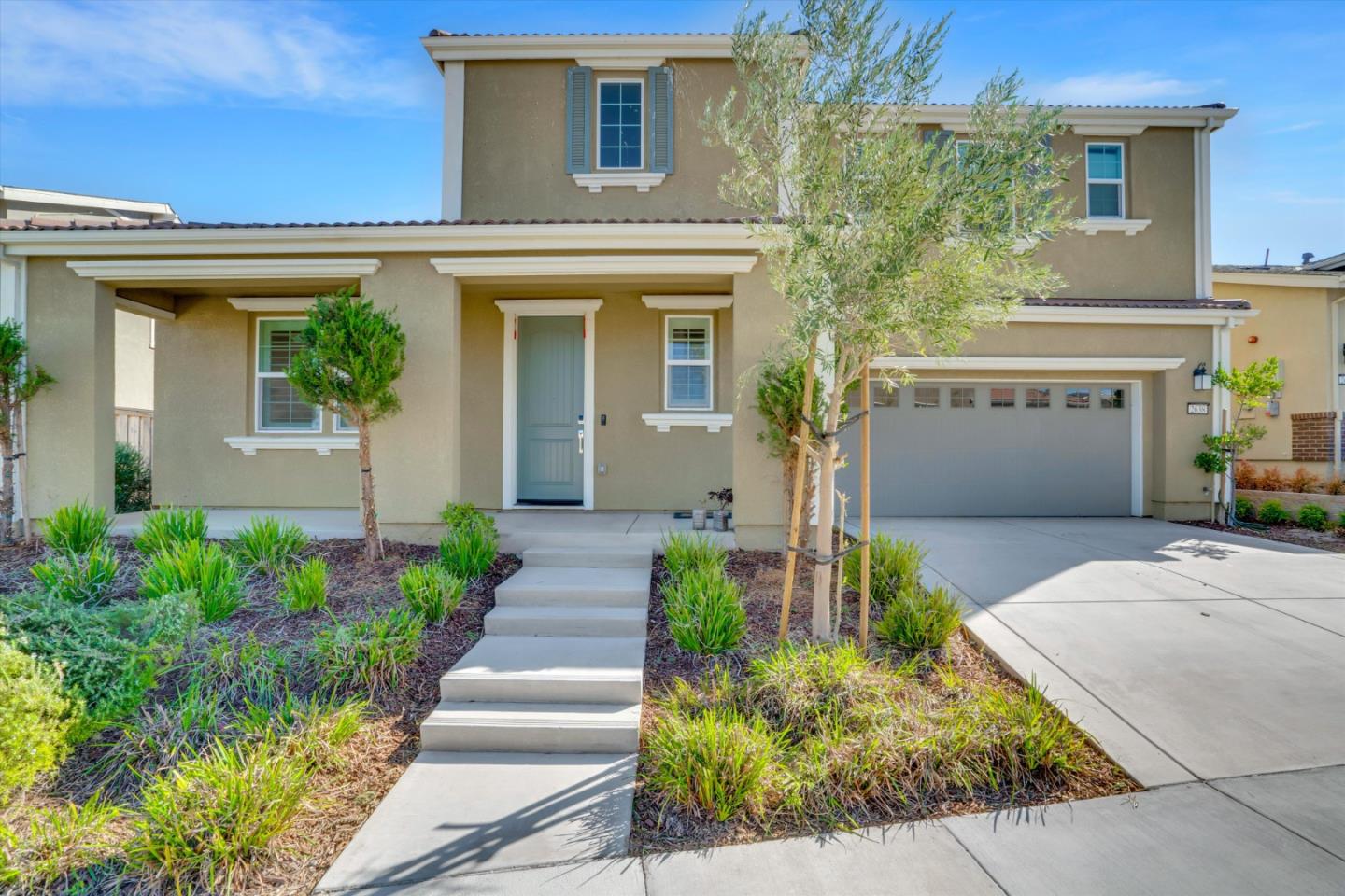 2638 Catspaw CT