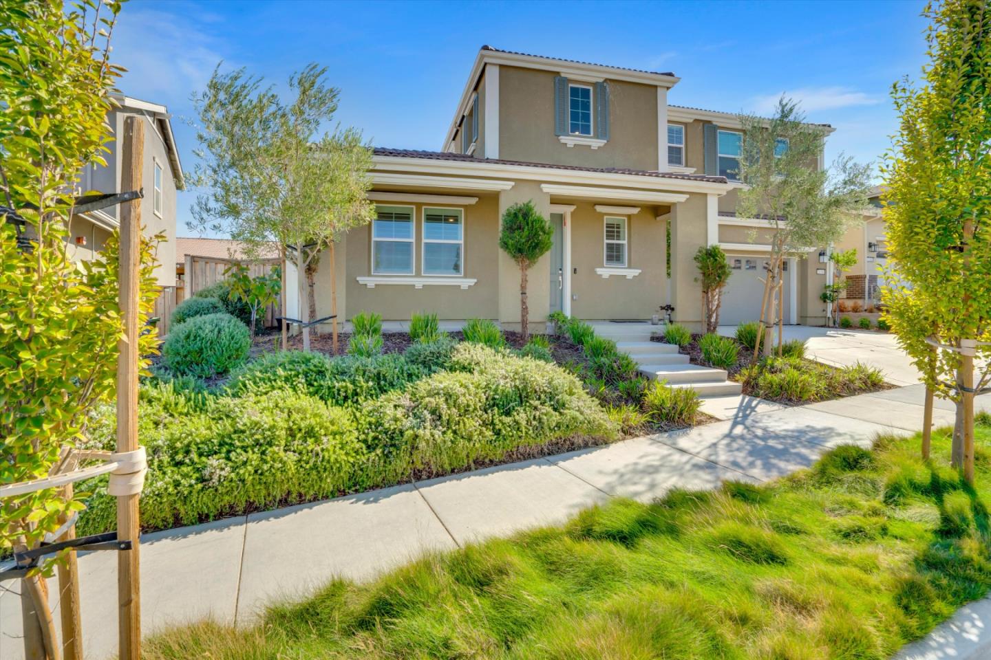 2638 Catspaw CT