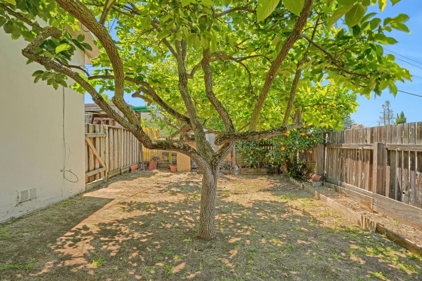 3404 Buckner Drive