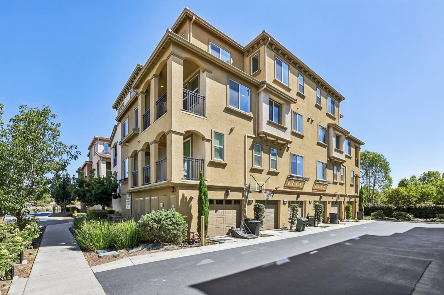 38975 Primula TER