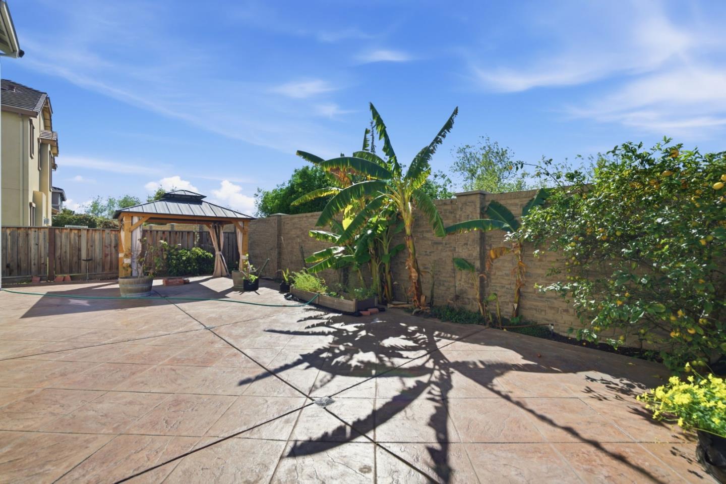 9 Chysis RD