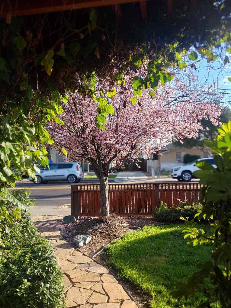 151 N 24th