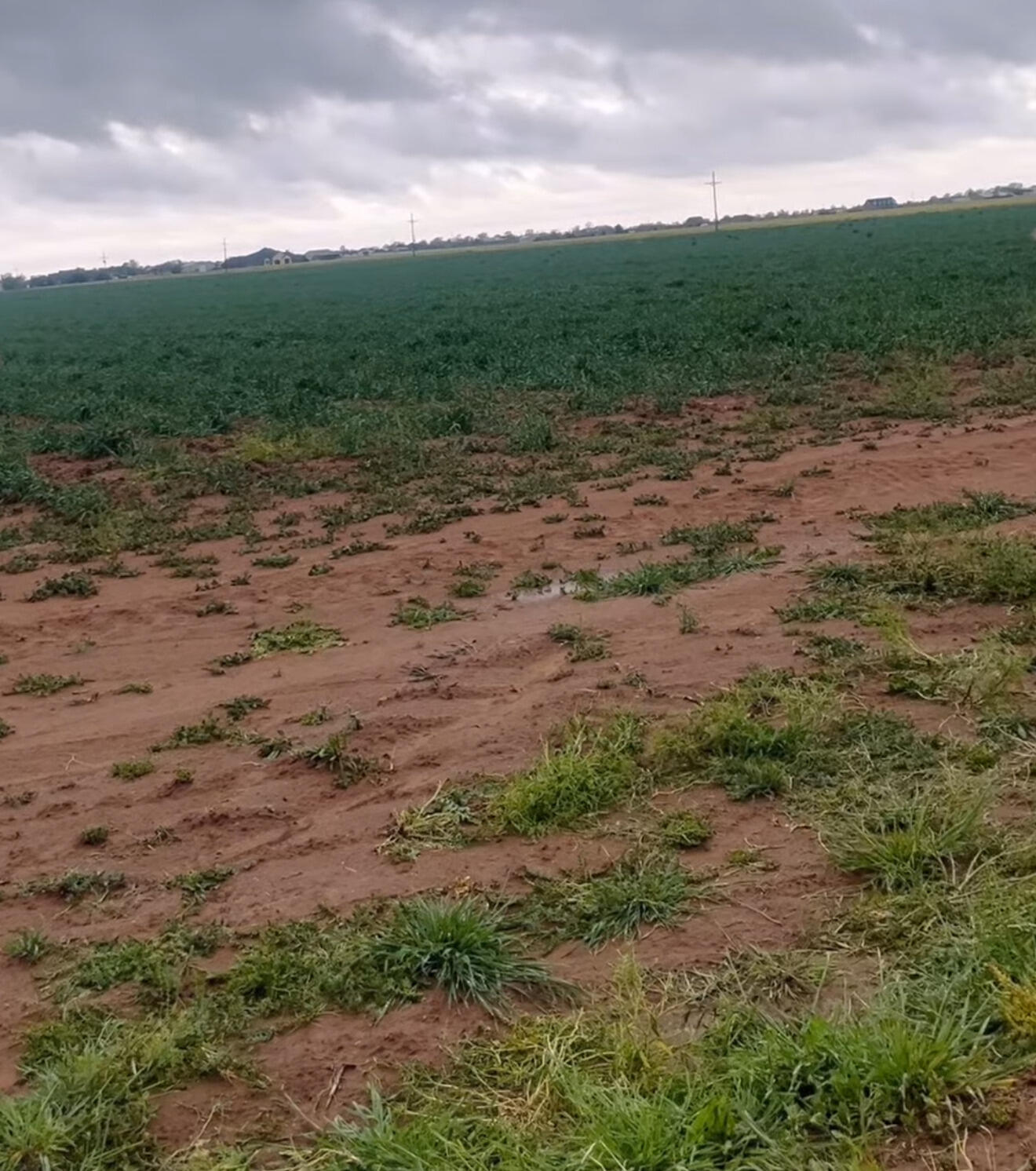 8025 County Rd 6100, Shallowater