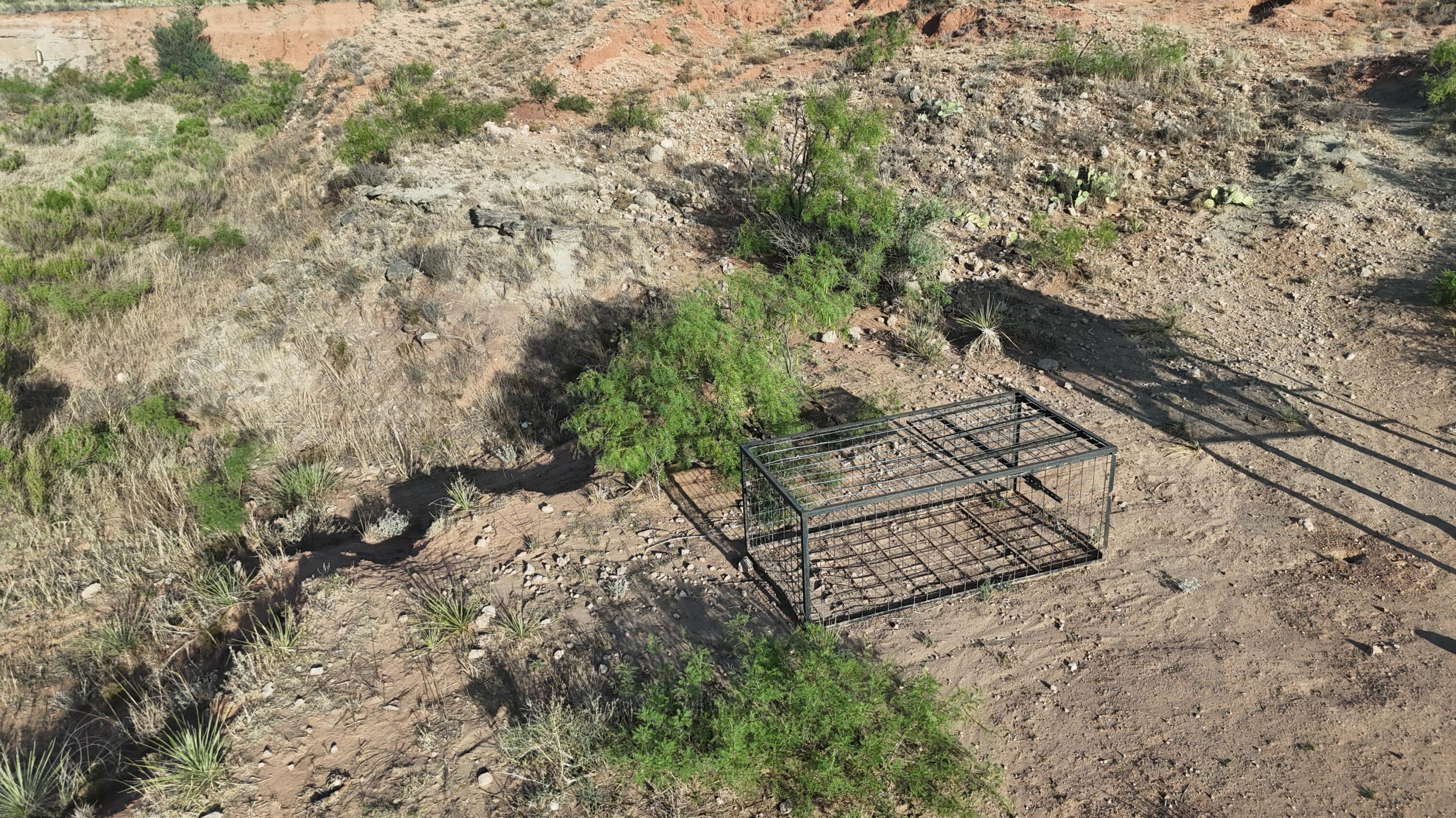 CR 145