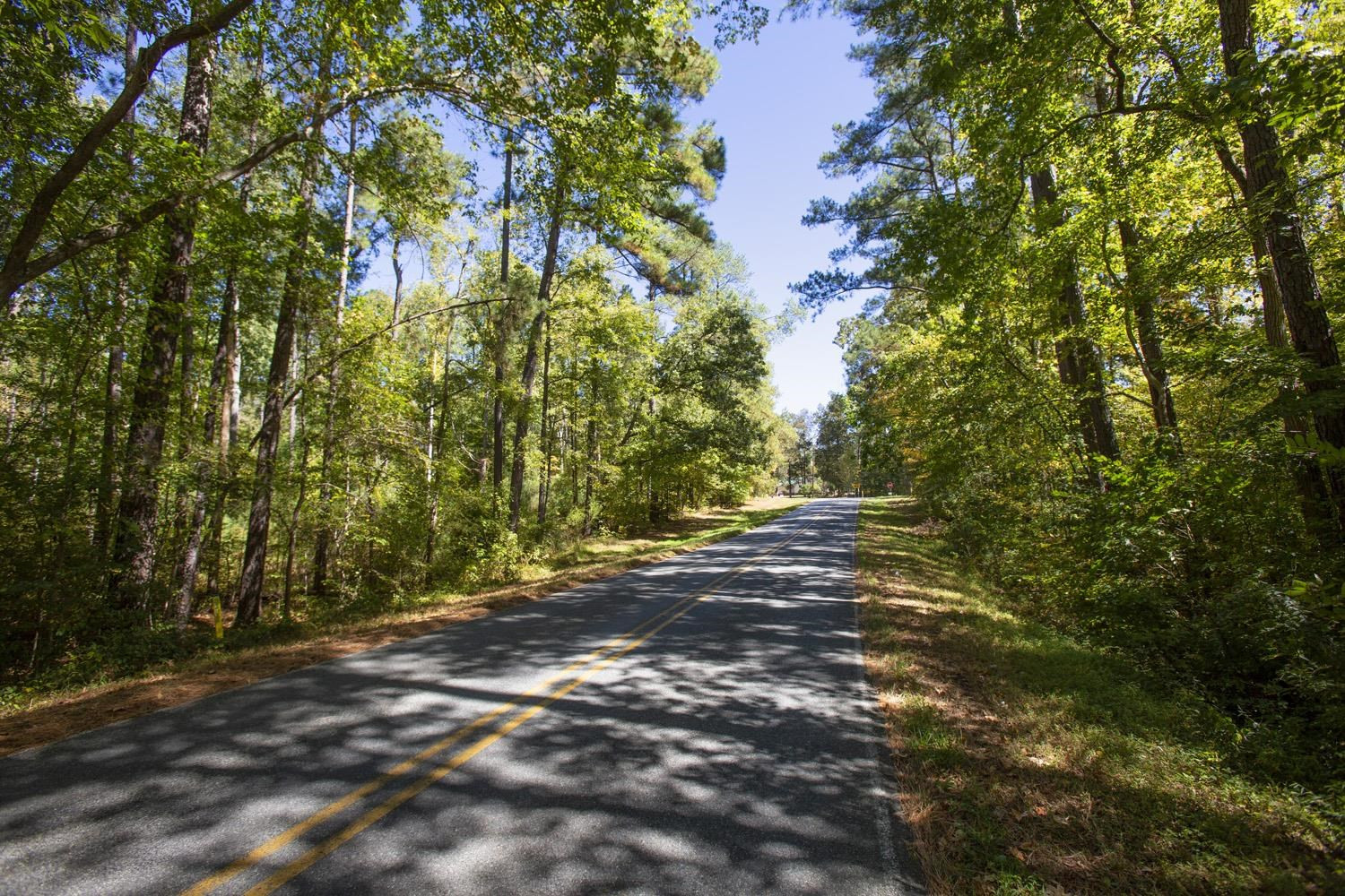 0 Walter Bright Road