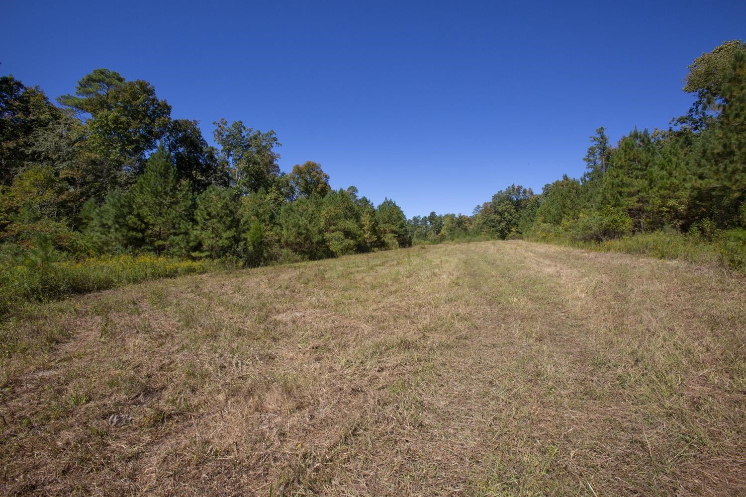 0 Walter Bright Road