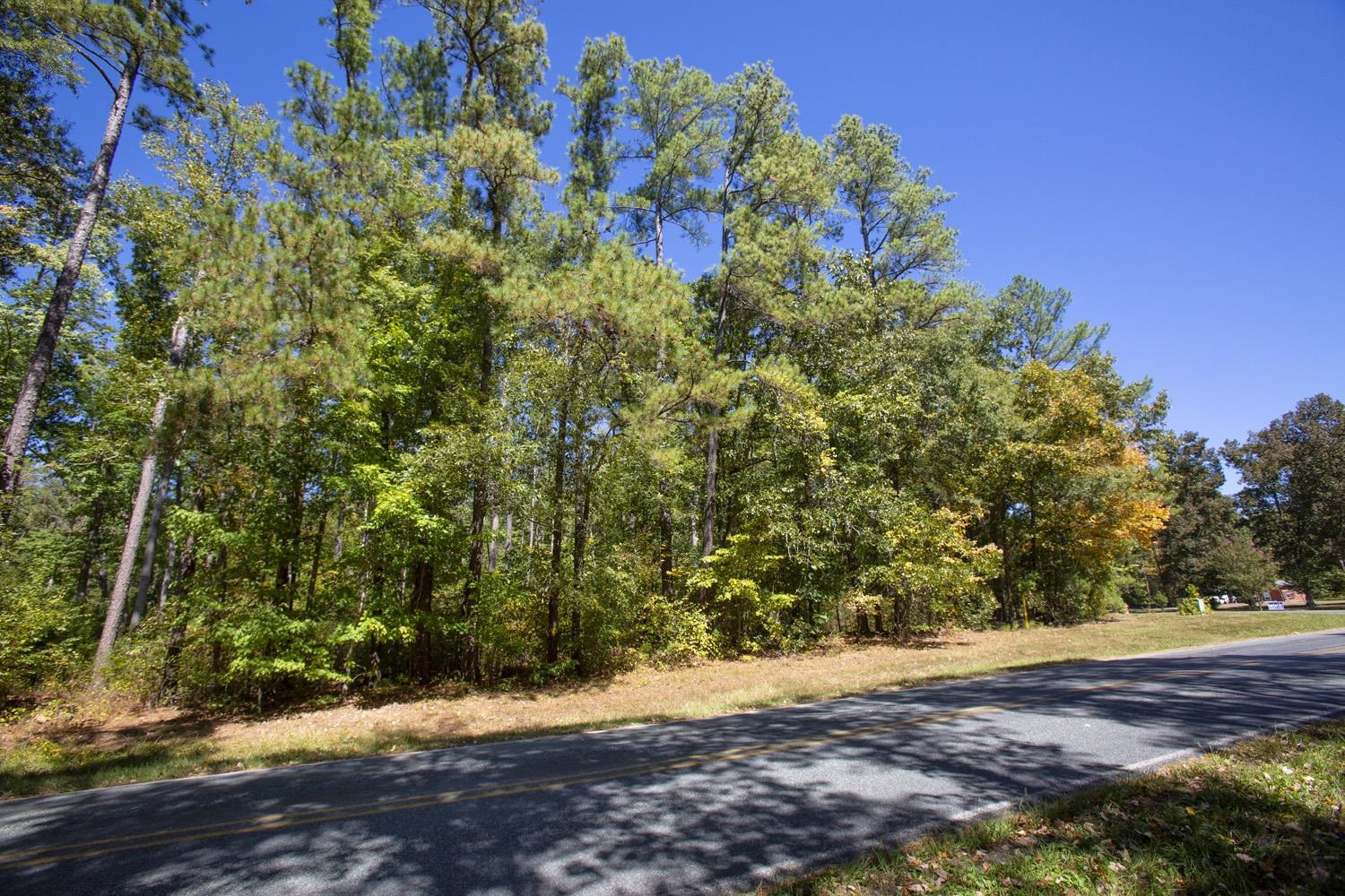 0 Walter Bright Road
