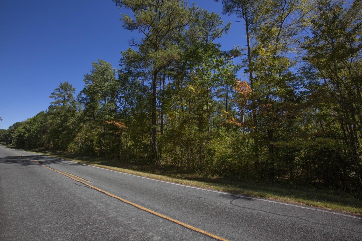 0 Walter Bright Road