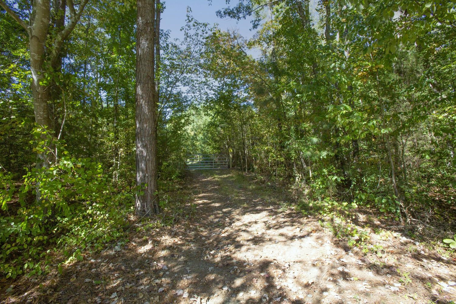 0 Walter Bright Road