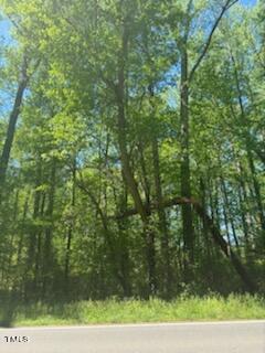 0 Hamlets Chapel Road